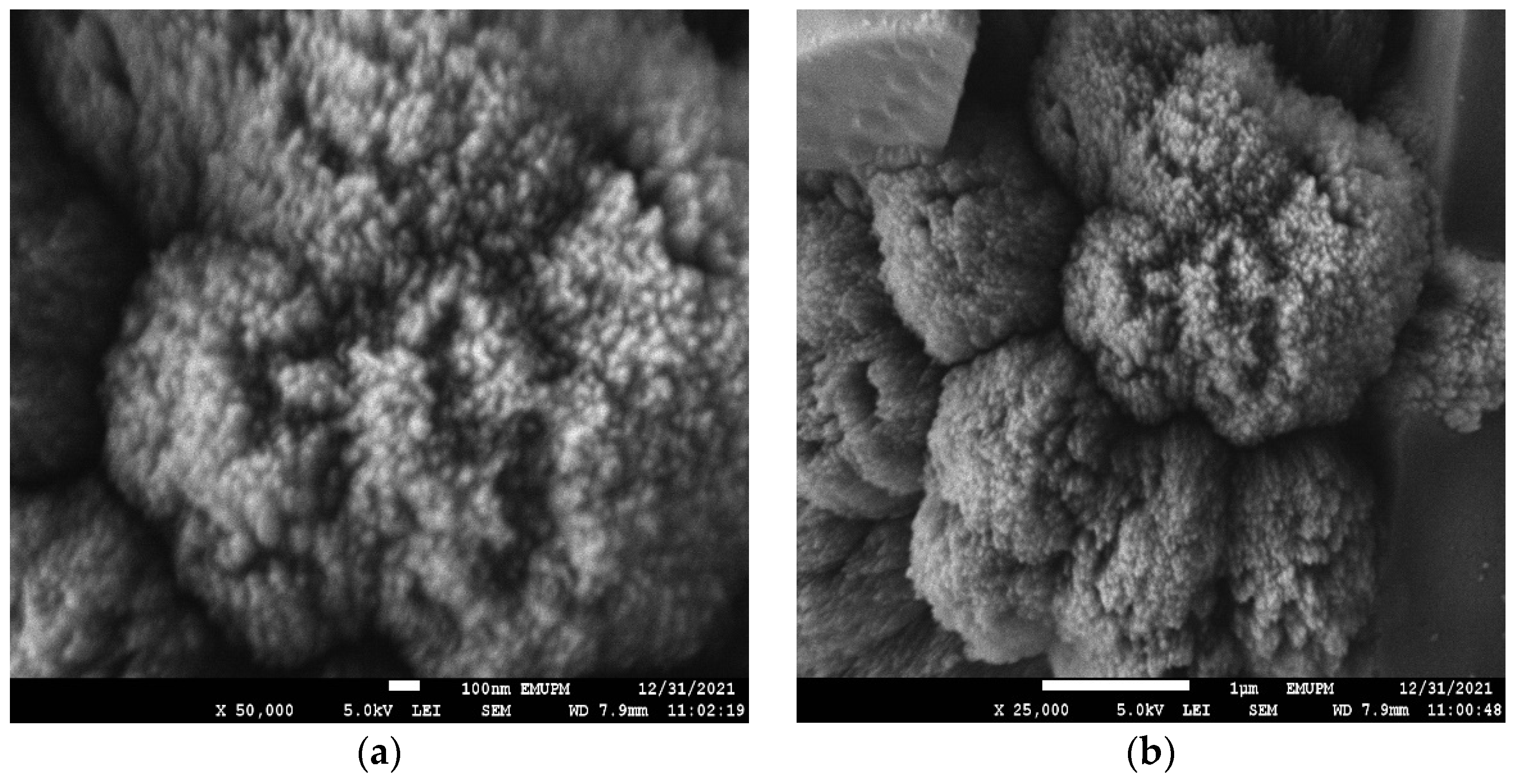 Polymers 14 03866 g010