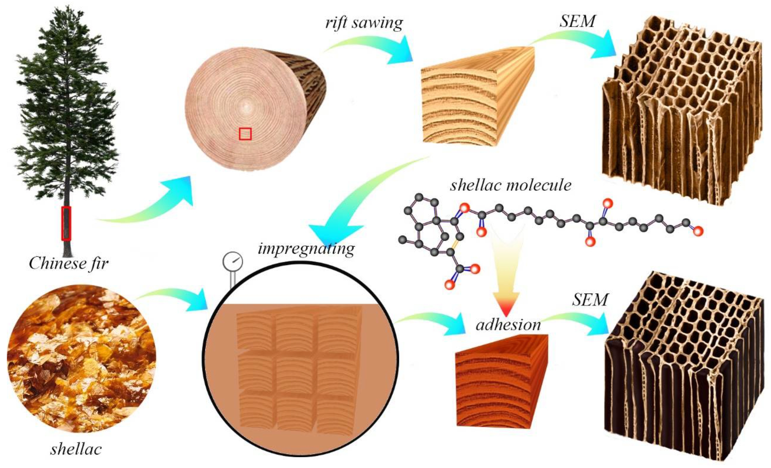 Polymers 14 03871 g001