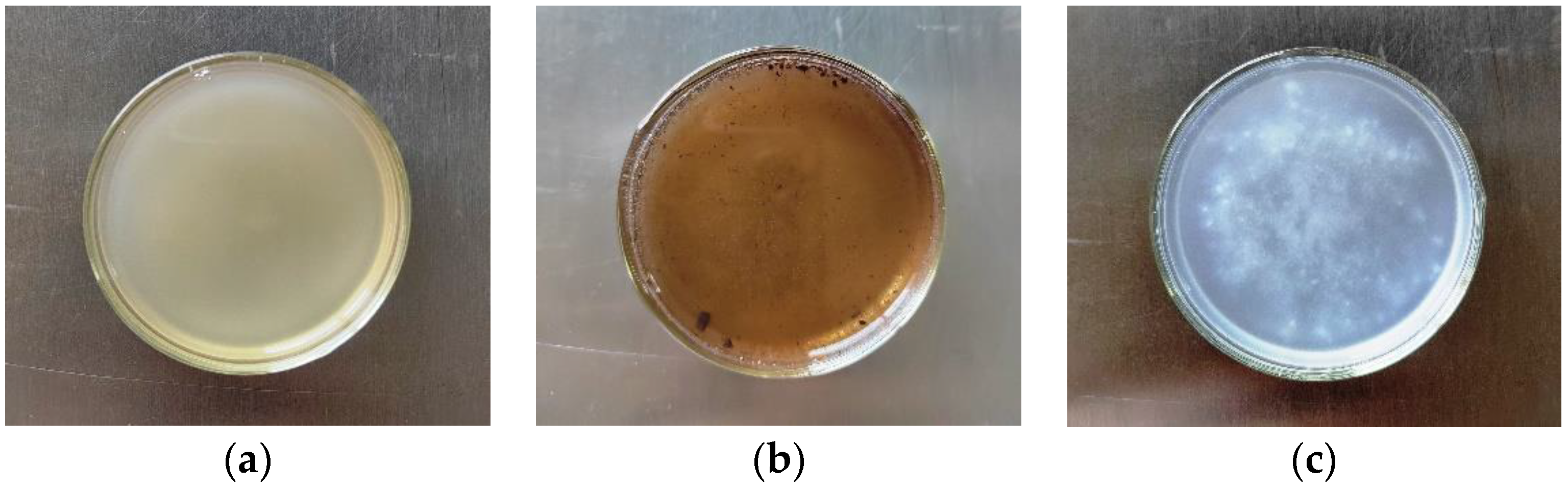 Polymers 14 03888 g001