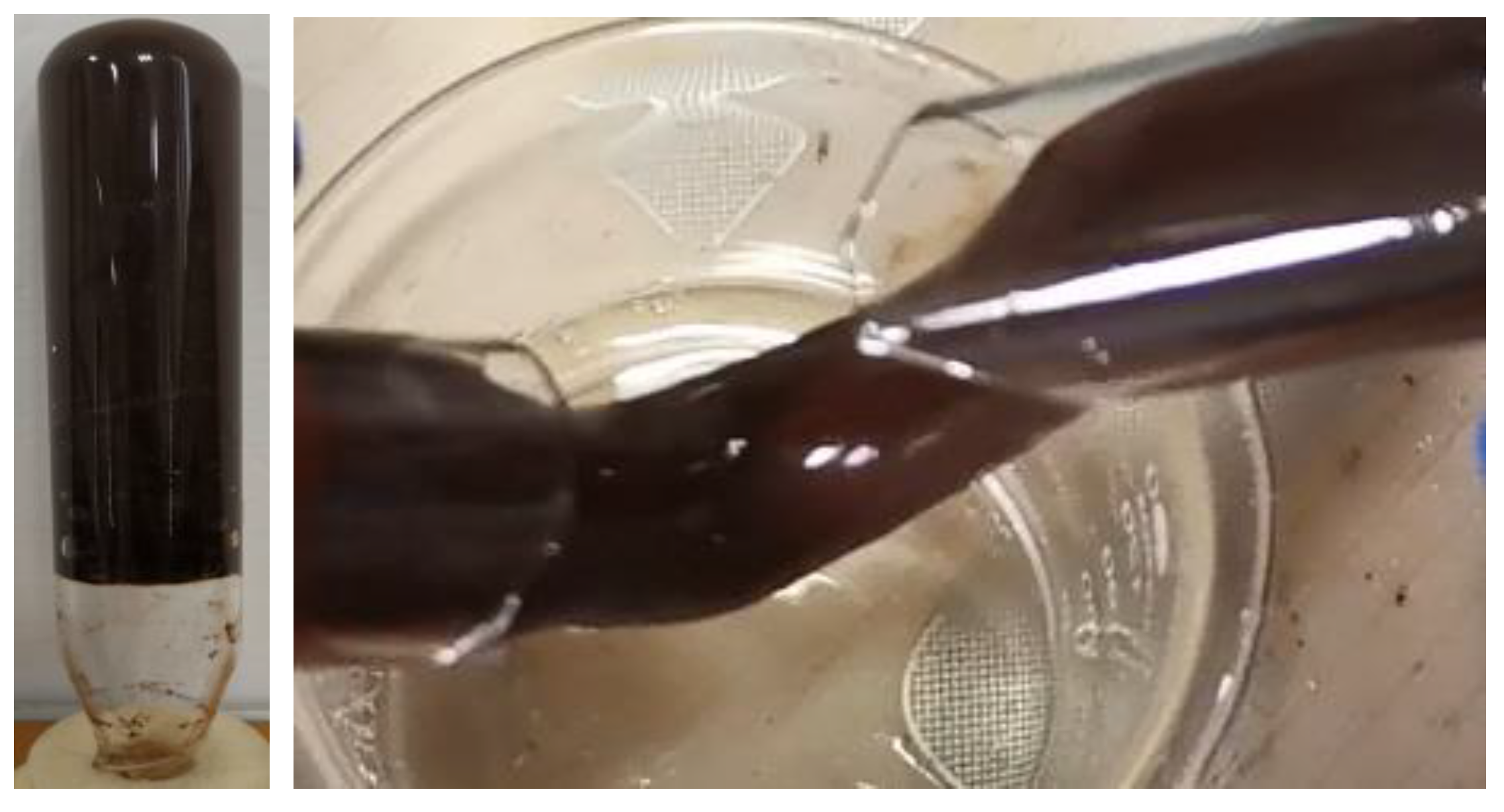 Polymers 14 03894 g004