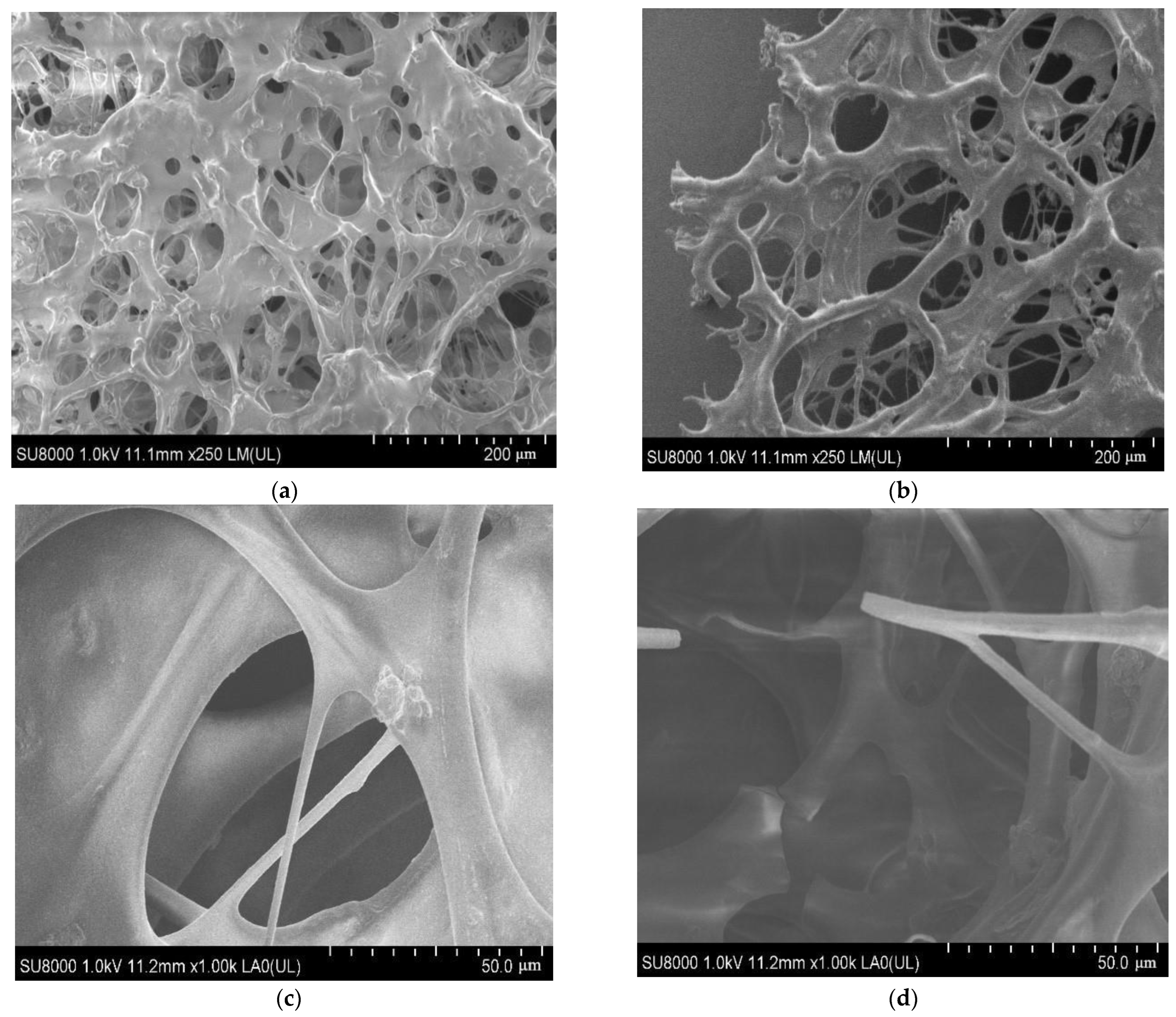Polymers 14 03894 g008