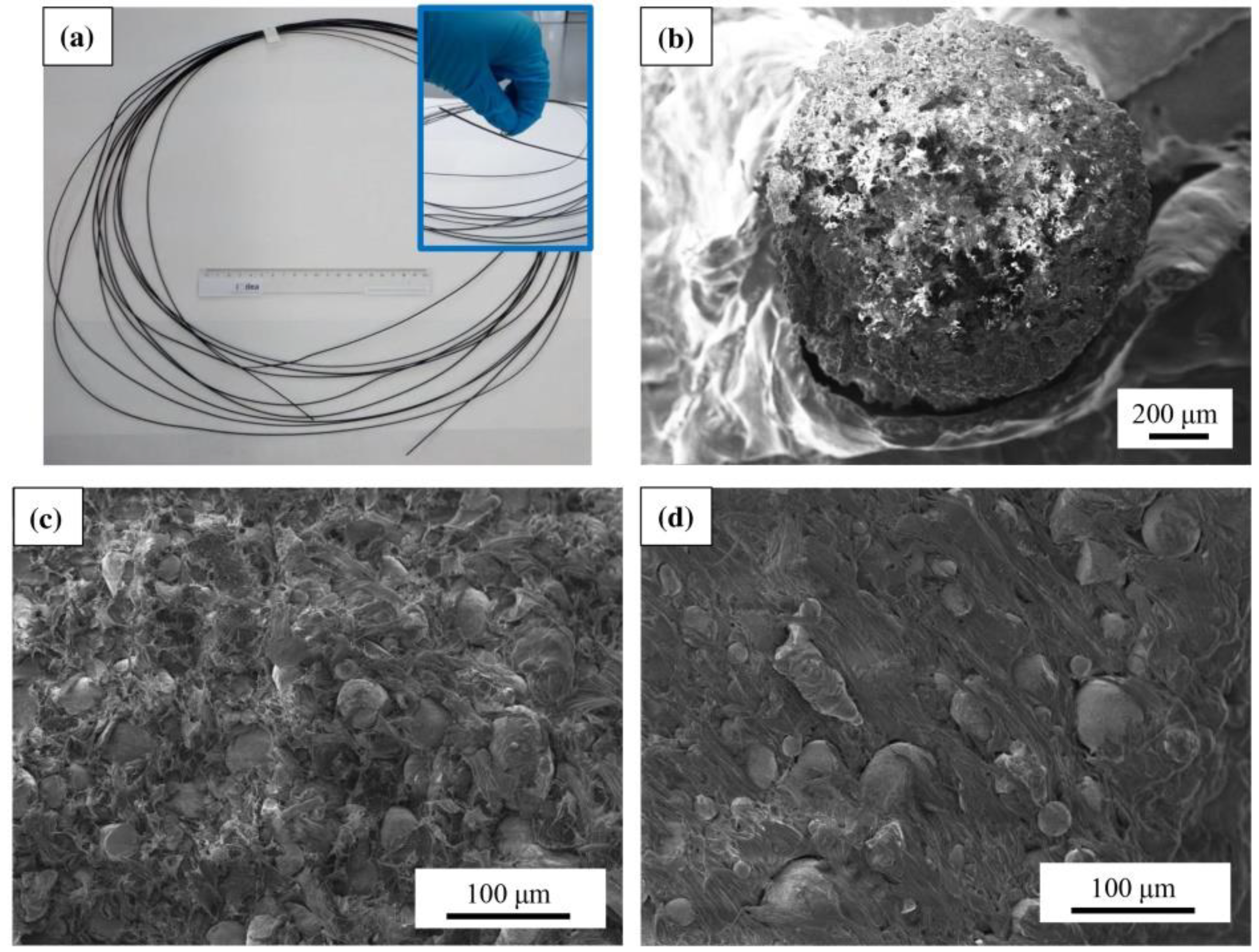 Polymers 14 03895 g002