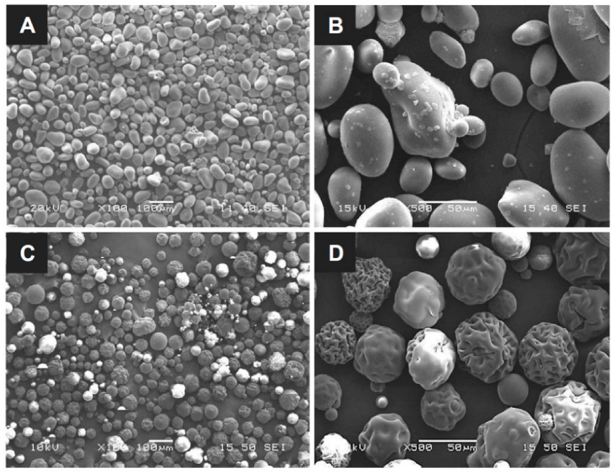 Polymers 14 03909 g001