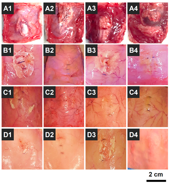 Polymers 14 03909 g010