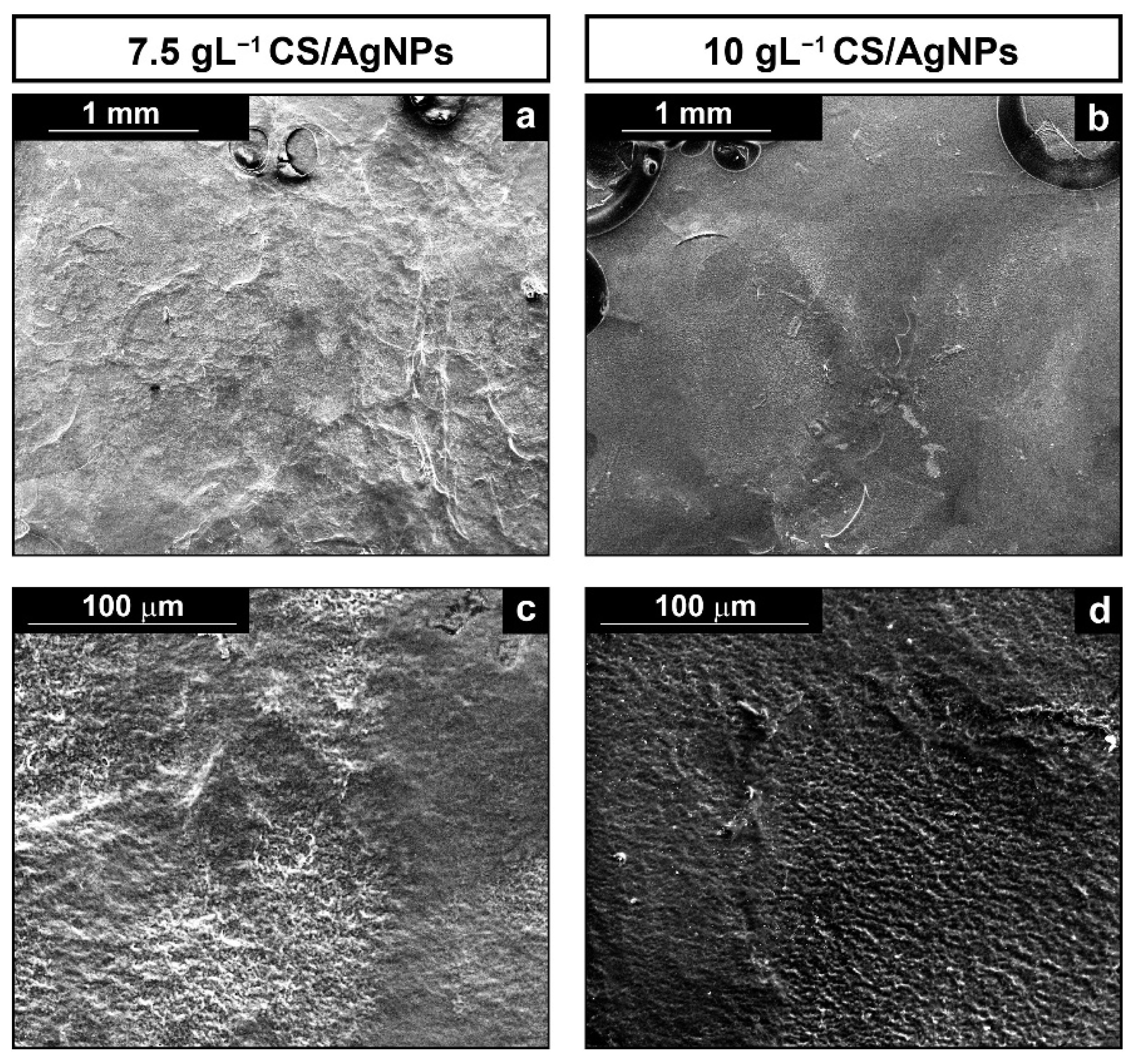 Polymers 14 03915 g002