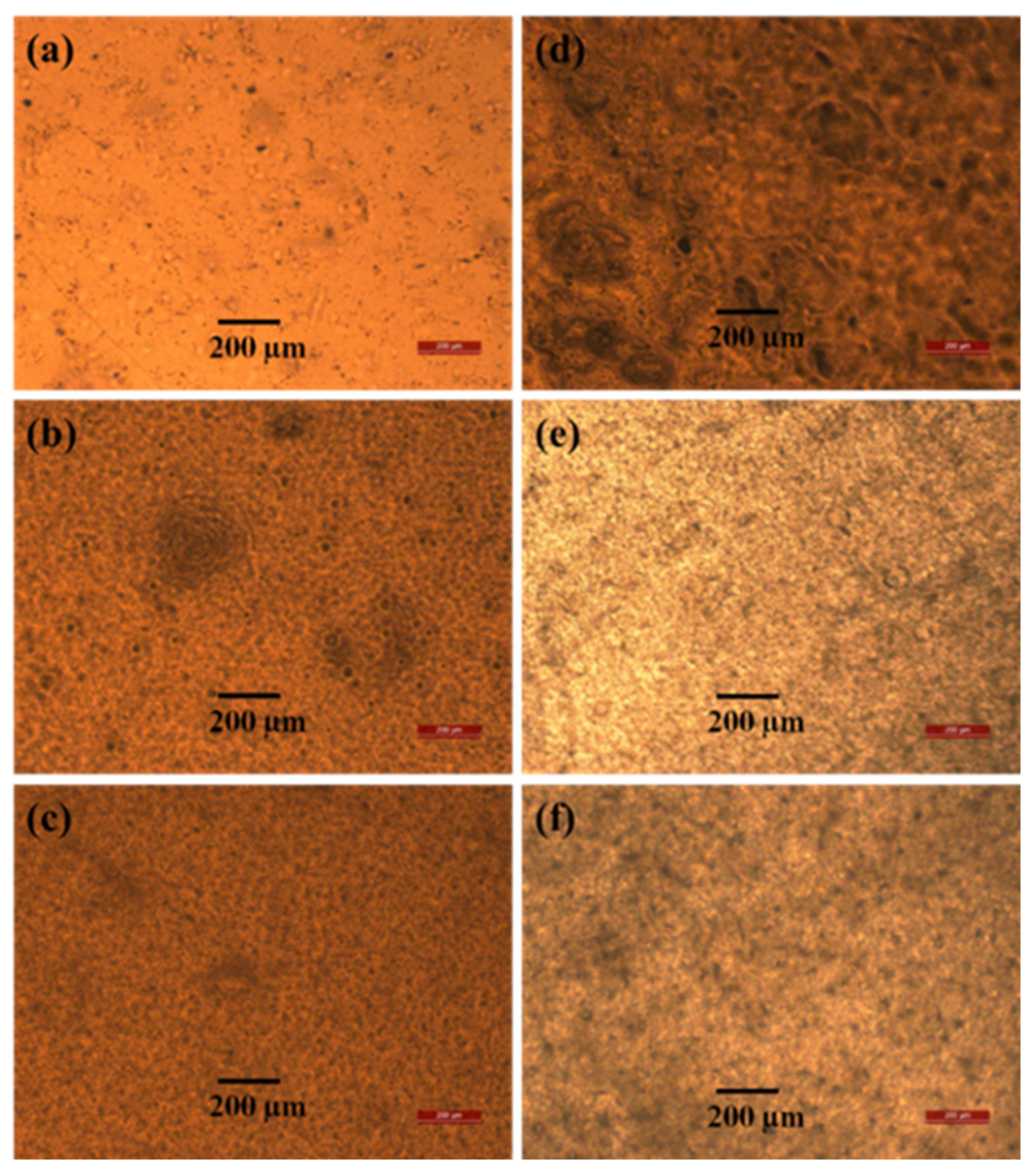 Polymers 14 03916 g002