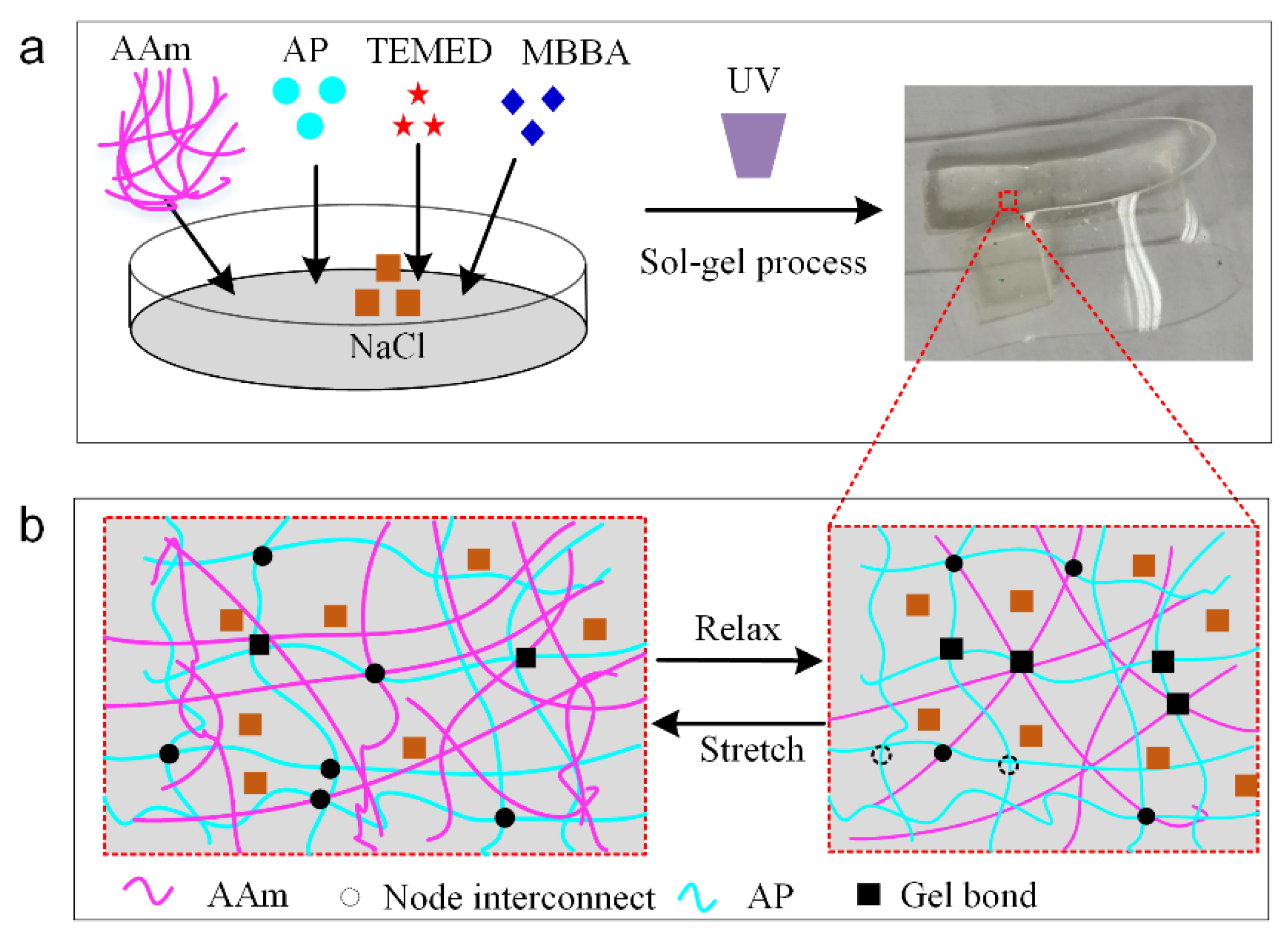 Polymers 14 03930 g002