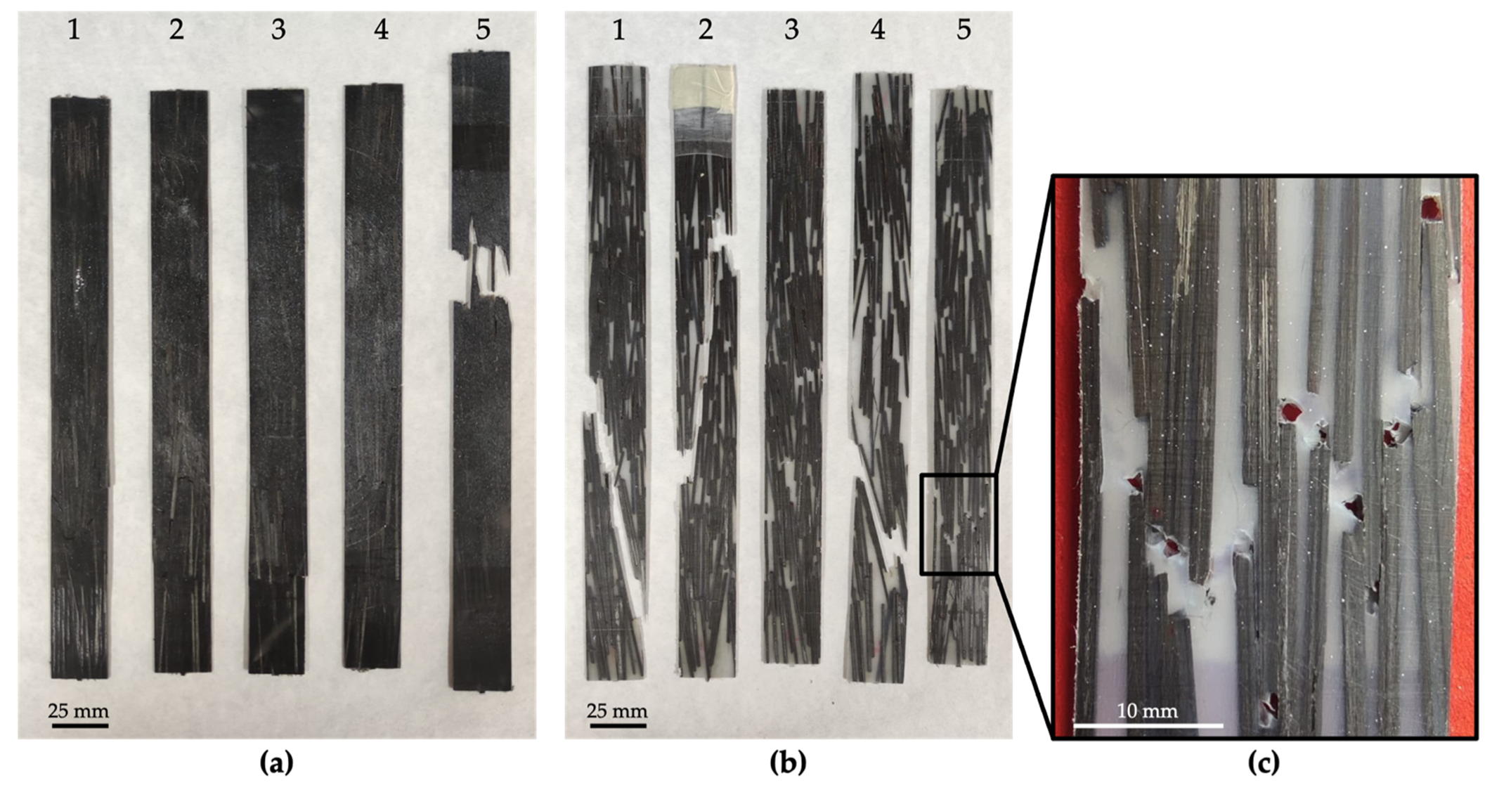 Polymers 14 03951 g005