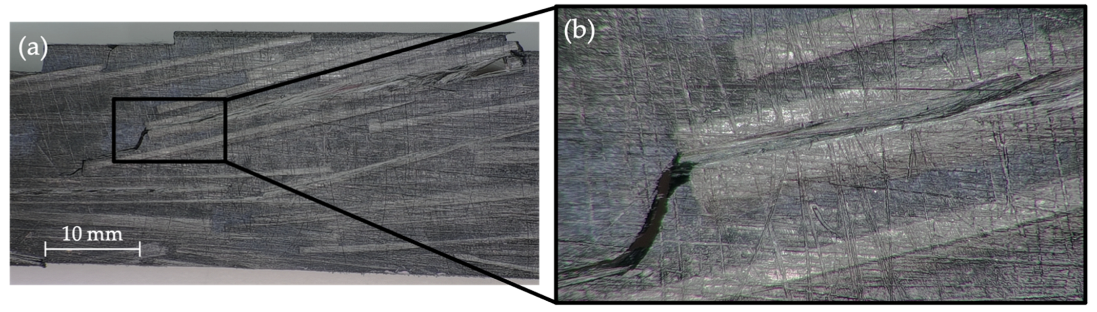 Polymers 14 03951 g007