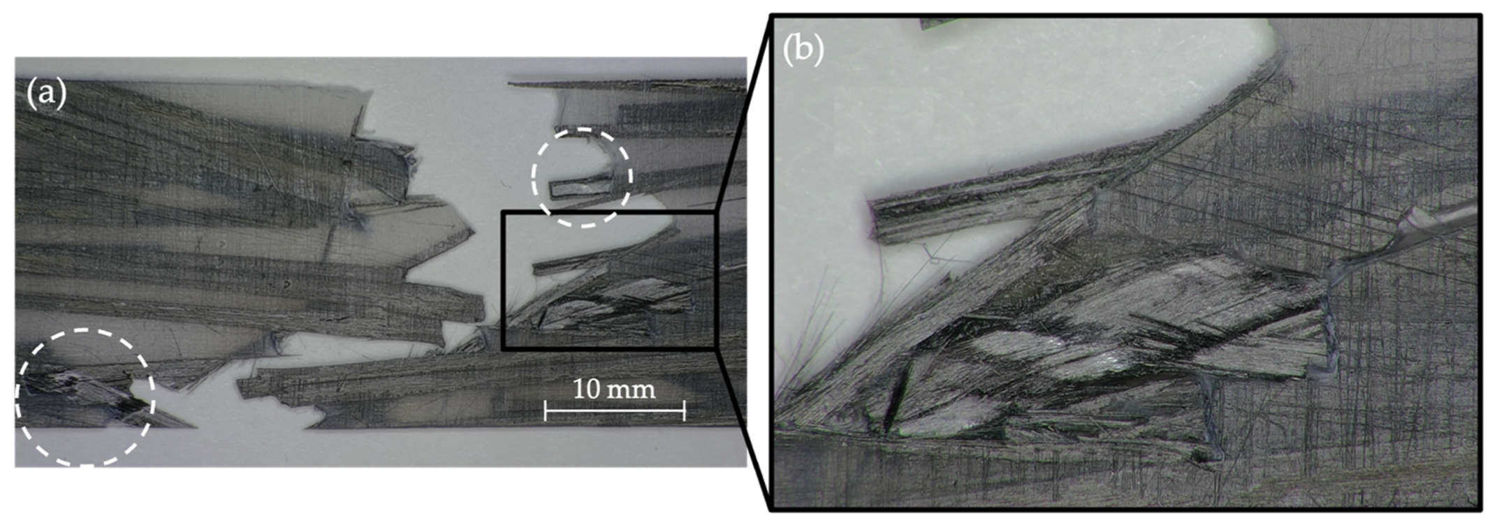 Polymers 14 03951 g008