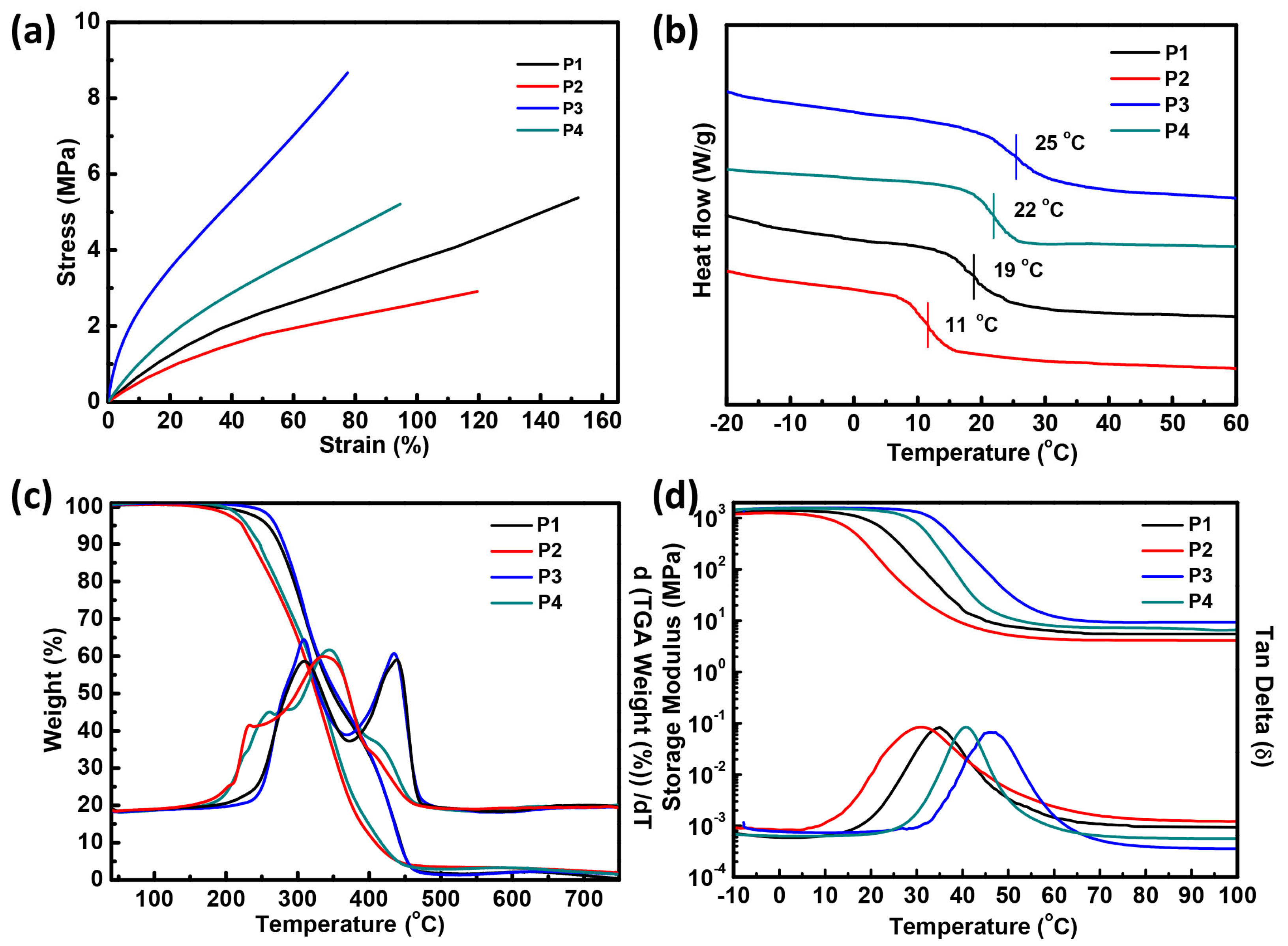 Polymers 14 03953 g004