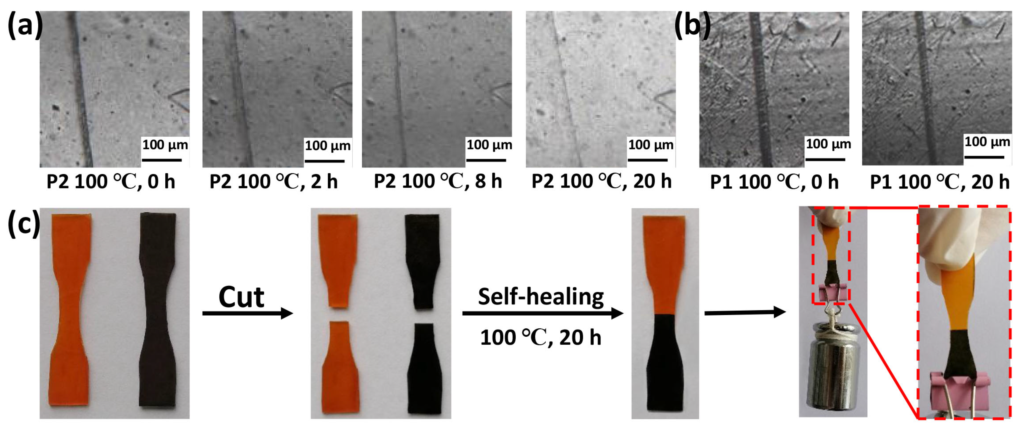 Polymers 14 03953 g006