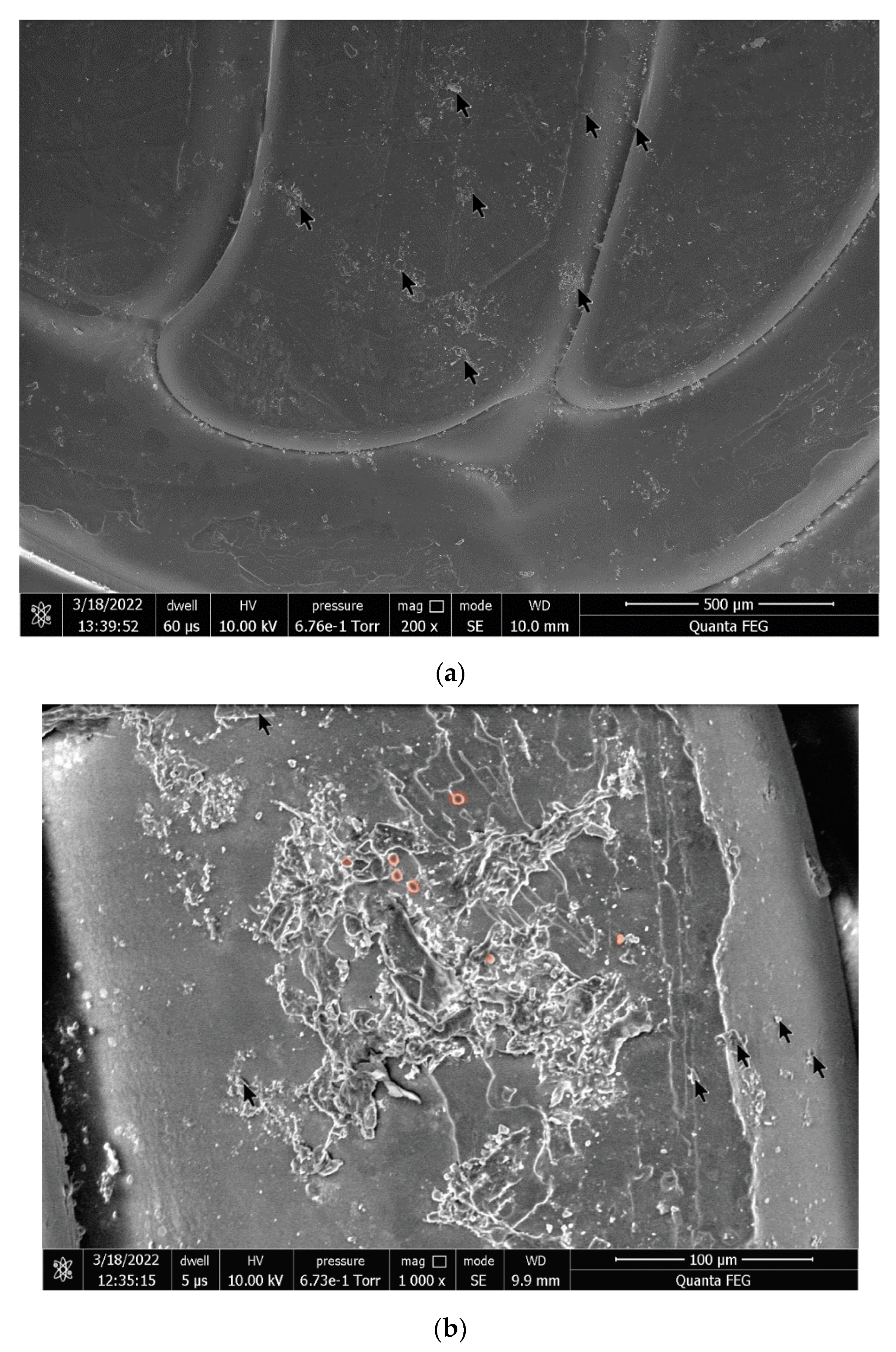 Polymers 14 03958 g008