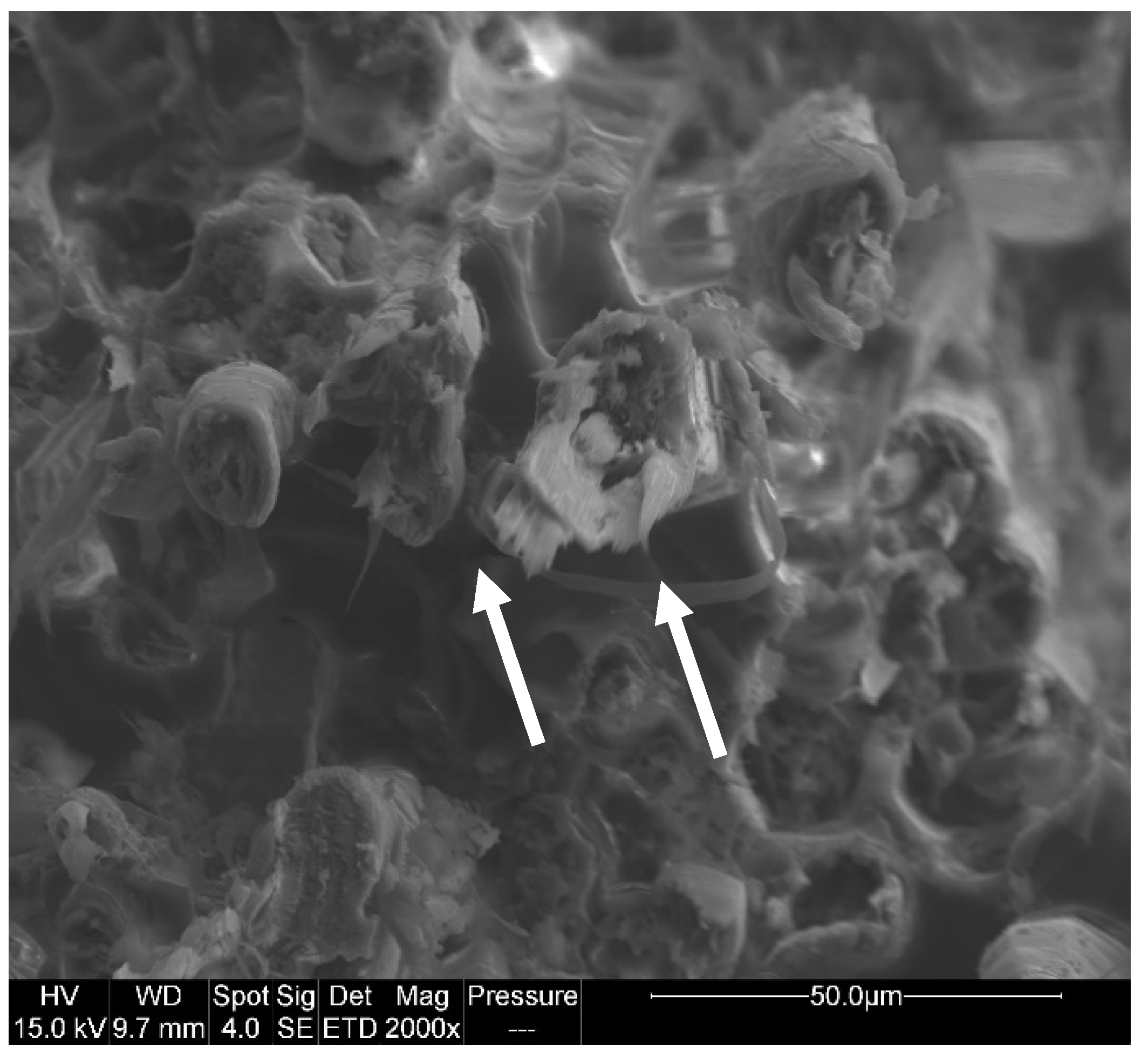 Polymers 14 03962 g010