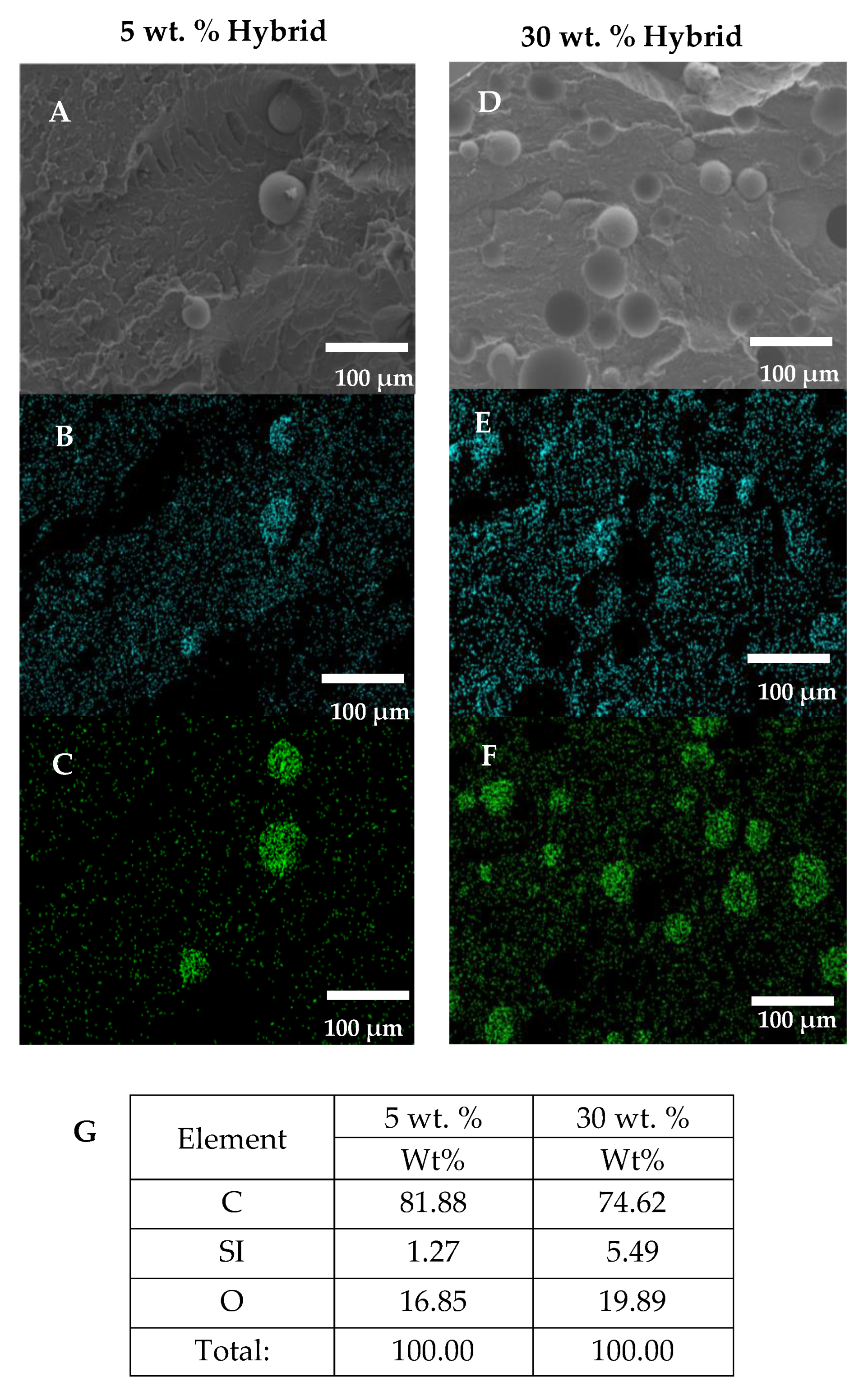Polymers 14 03969 g002