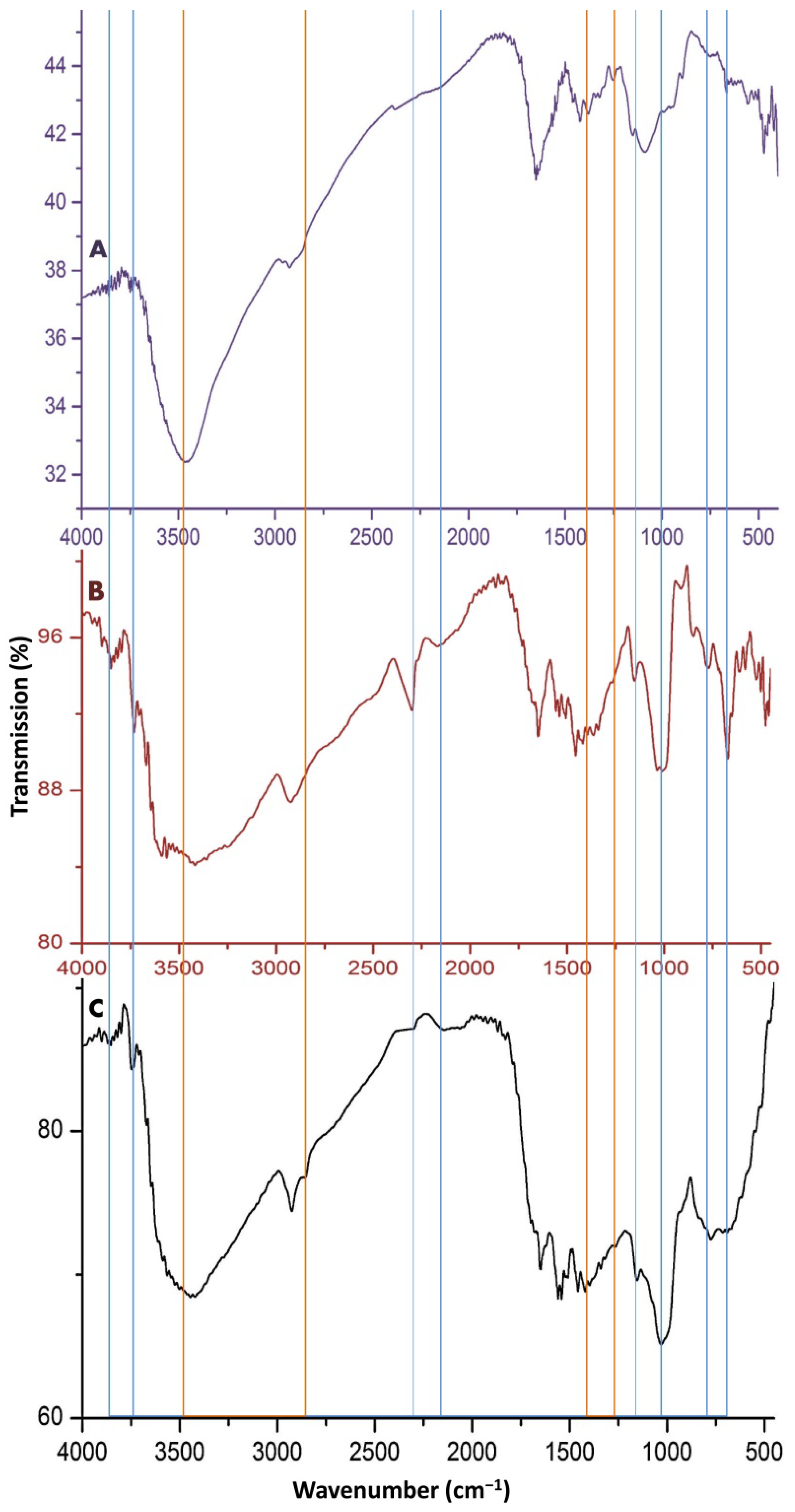 Polymers 14 03972 g001