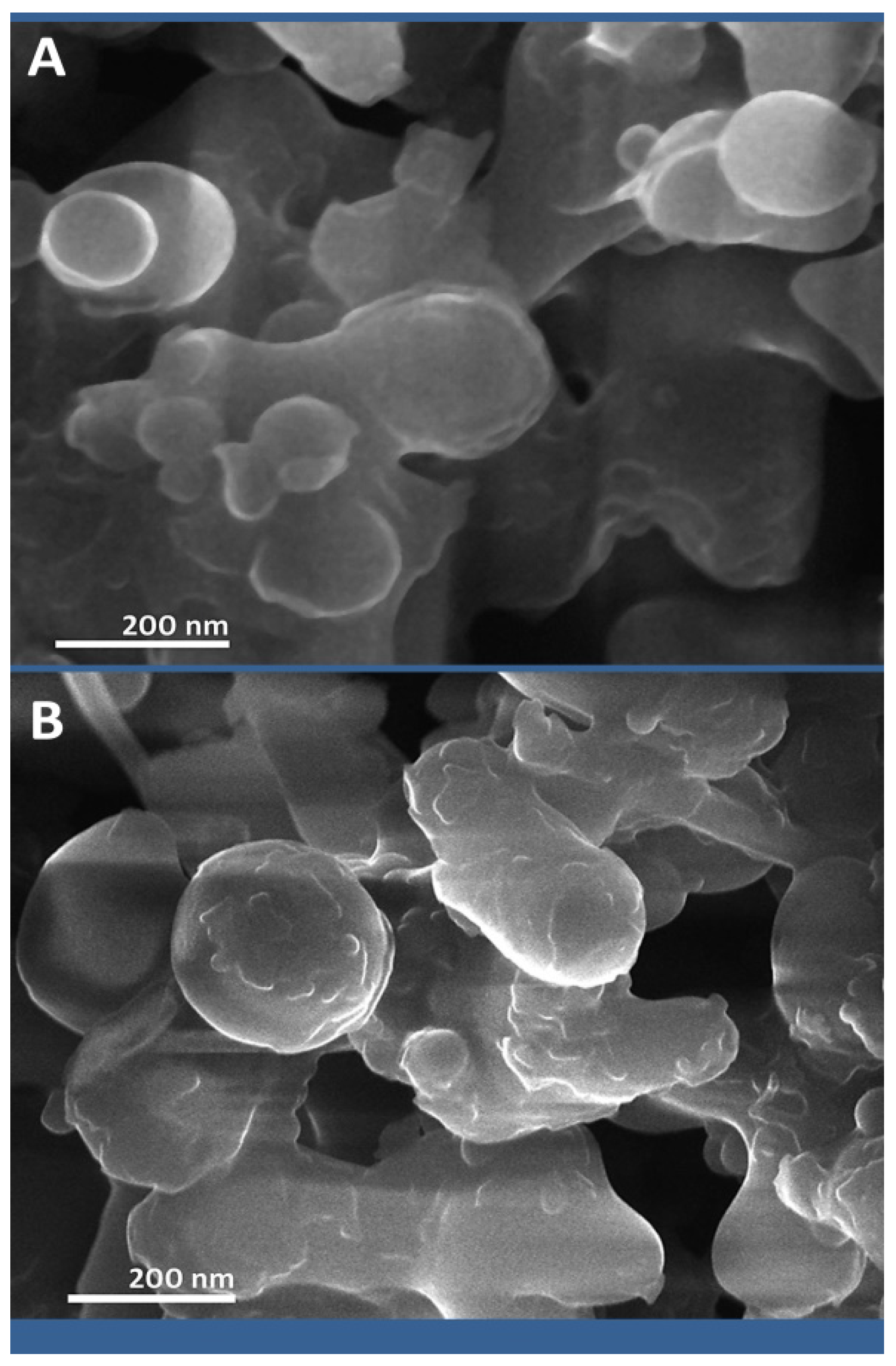 Polymers 14 03972 g002