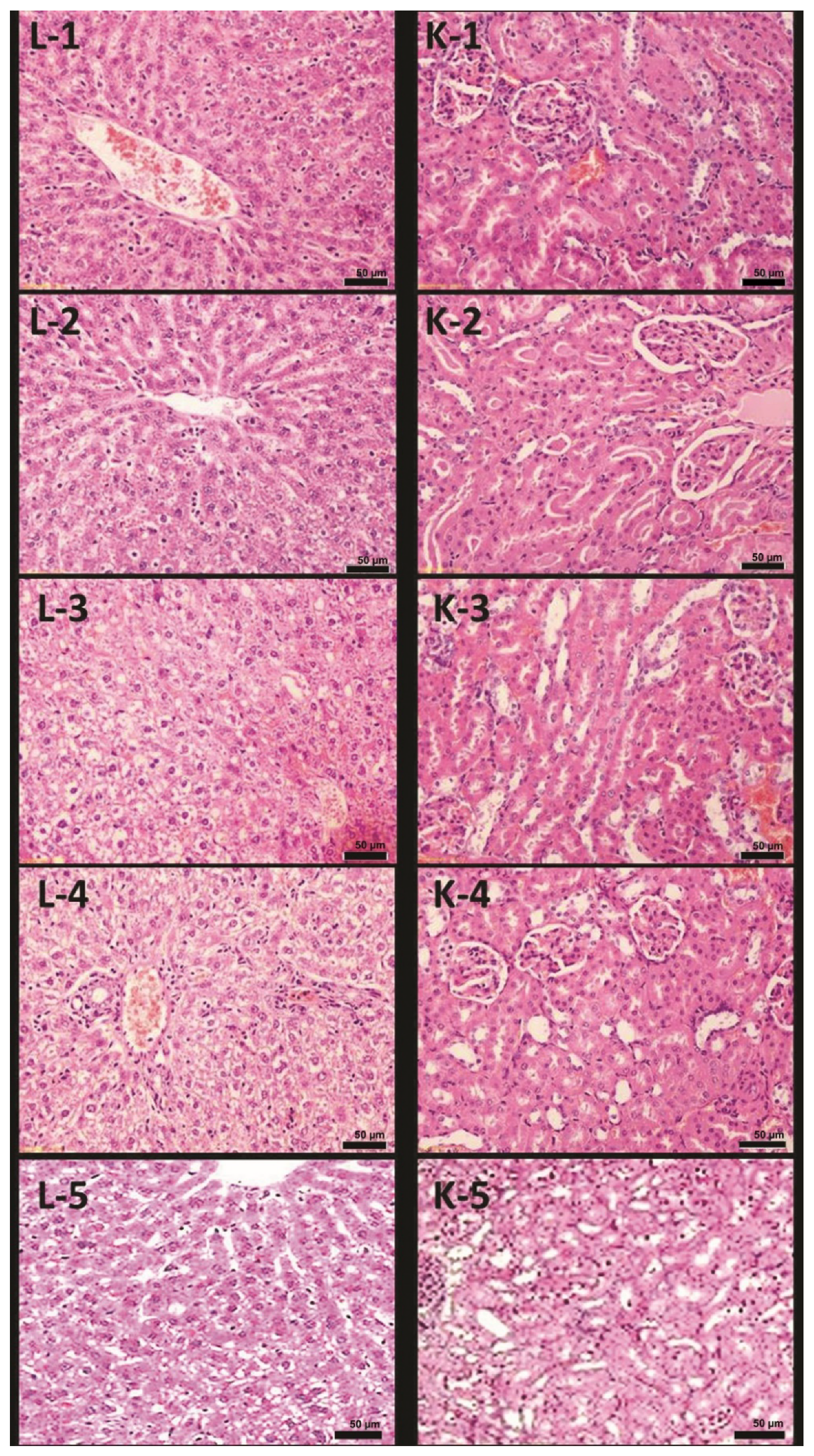 Polymers 14 03972 g003