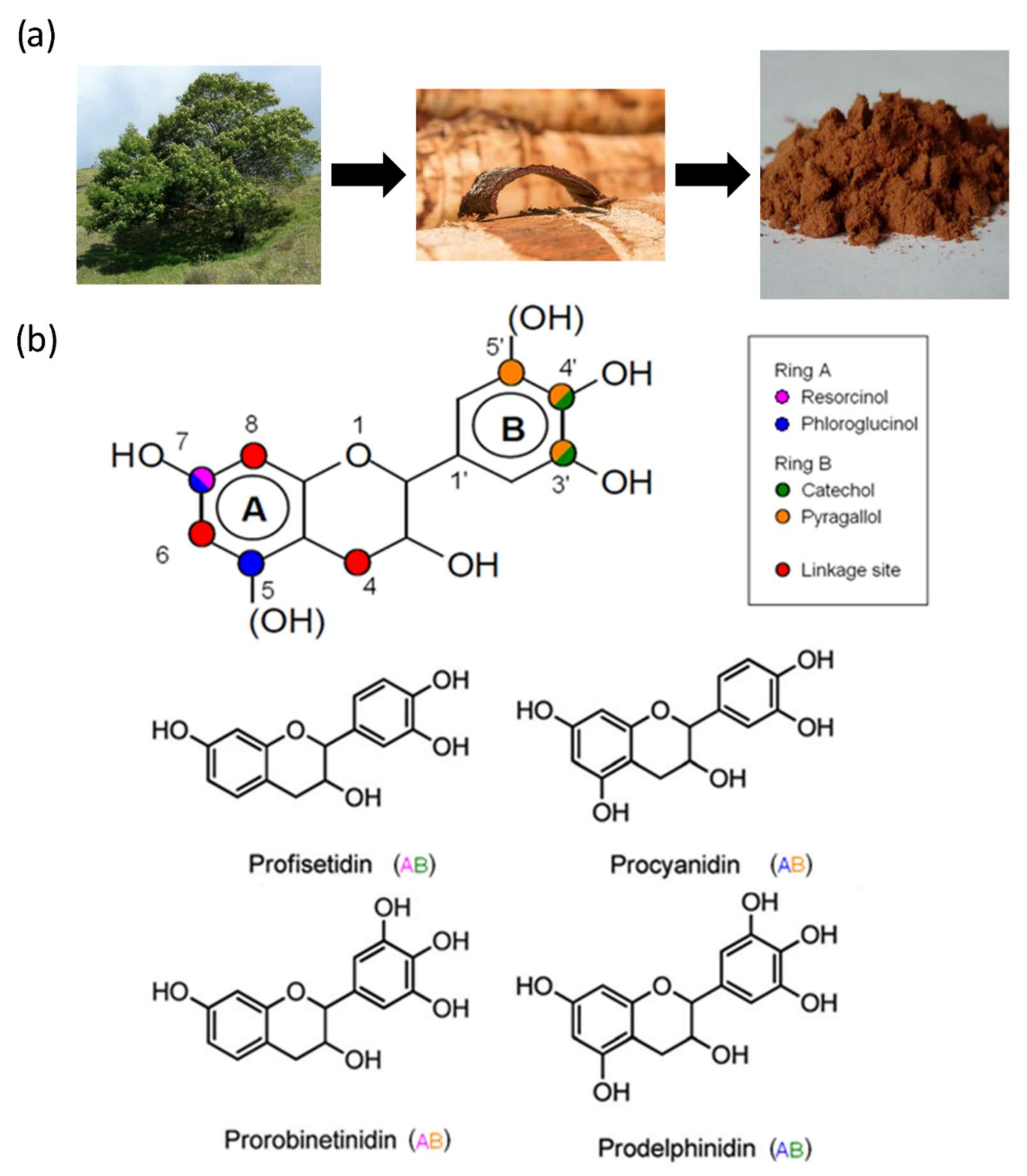 Polymers 14 03974 g013