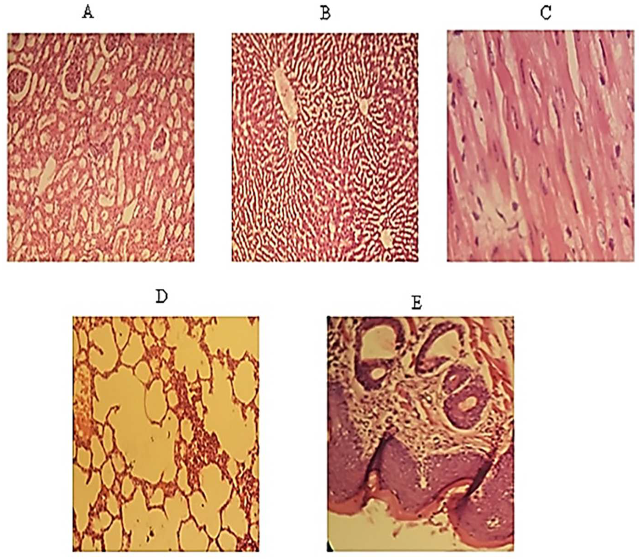 Polymers 14 03981 g008