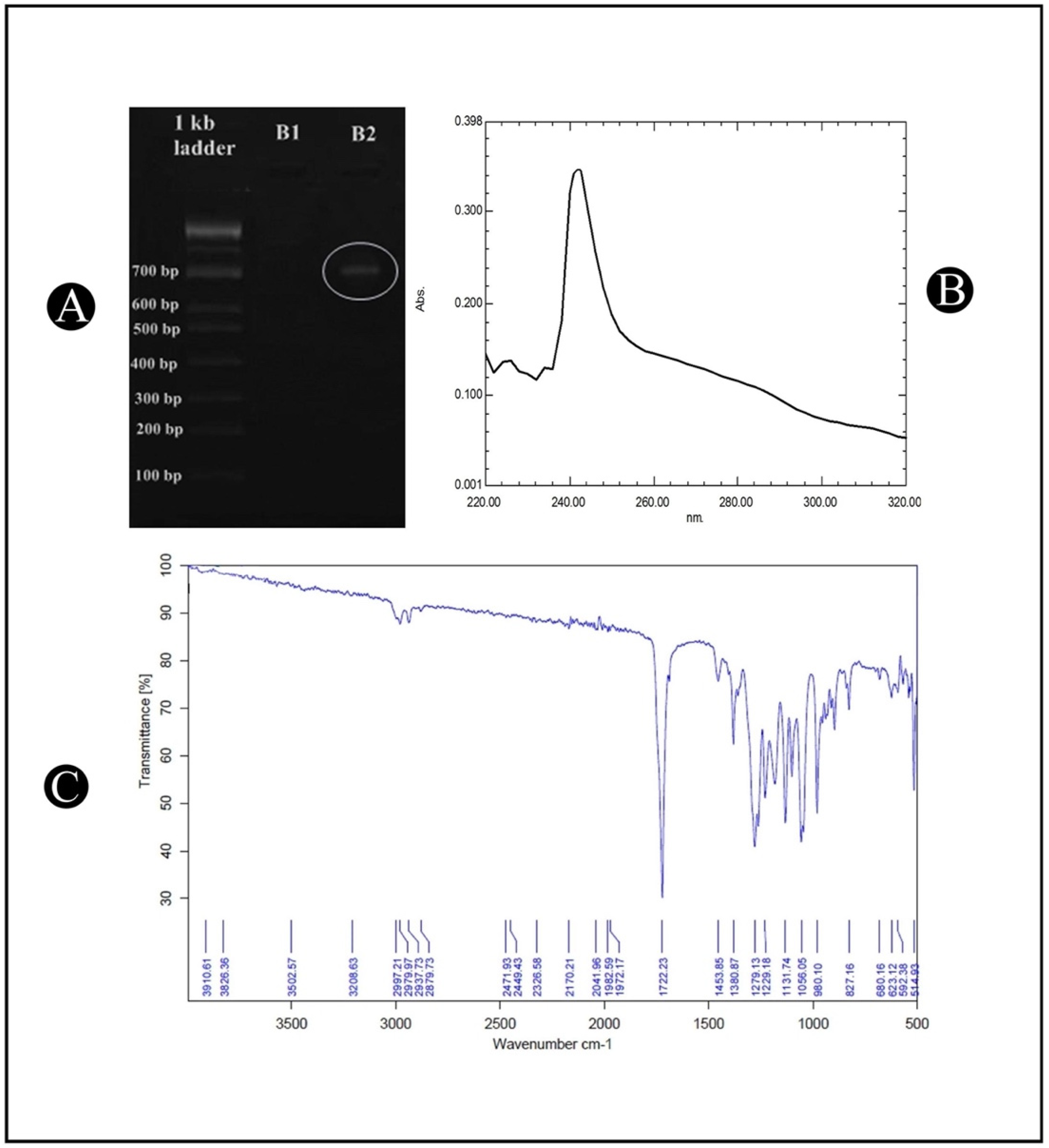 Polymers 14 03982 g002