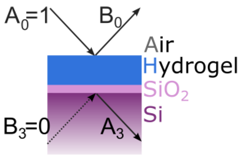 Polymers 14 03987 g003