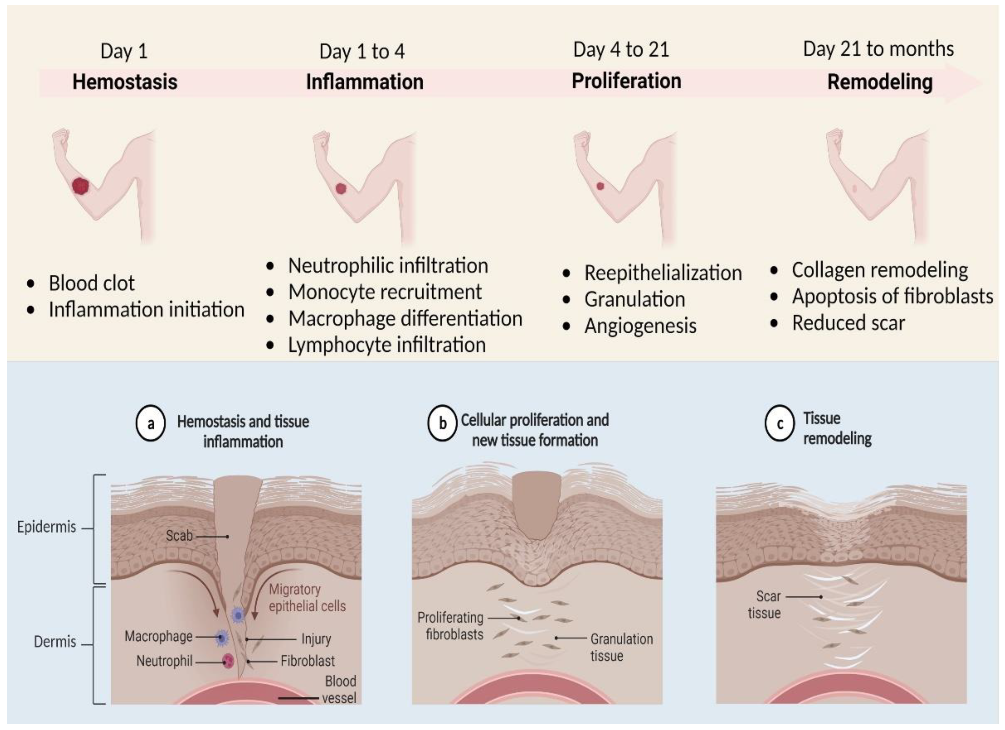 Polymers 14 03994 g001