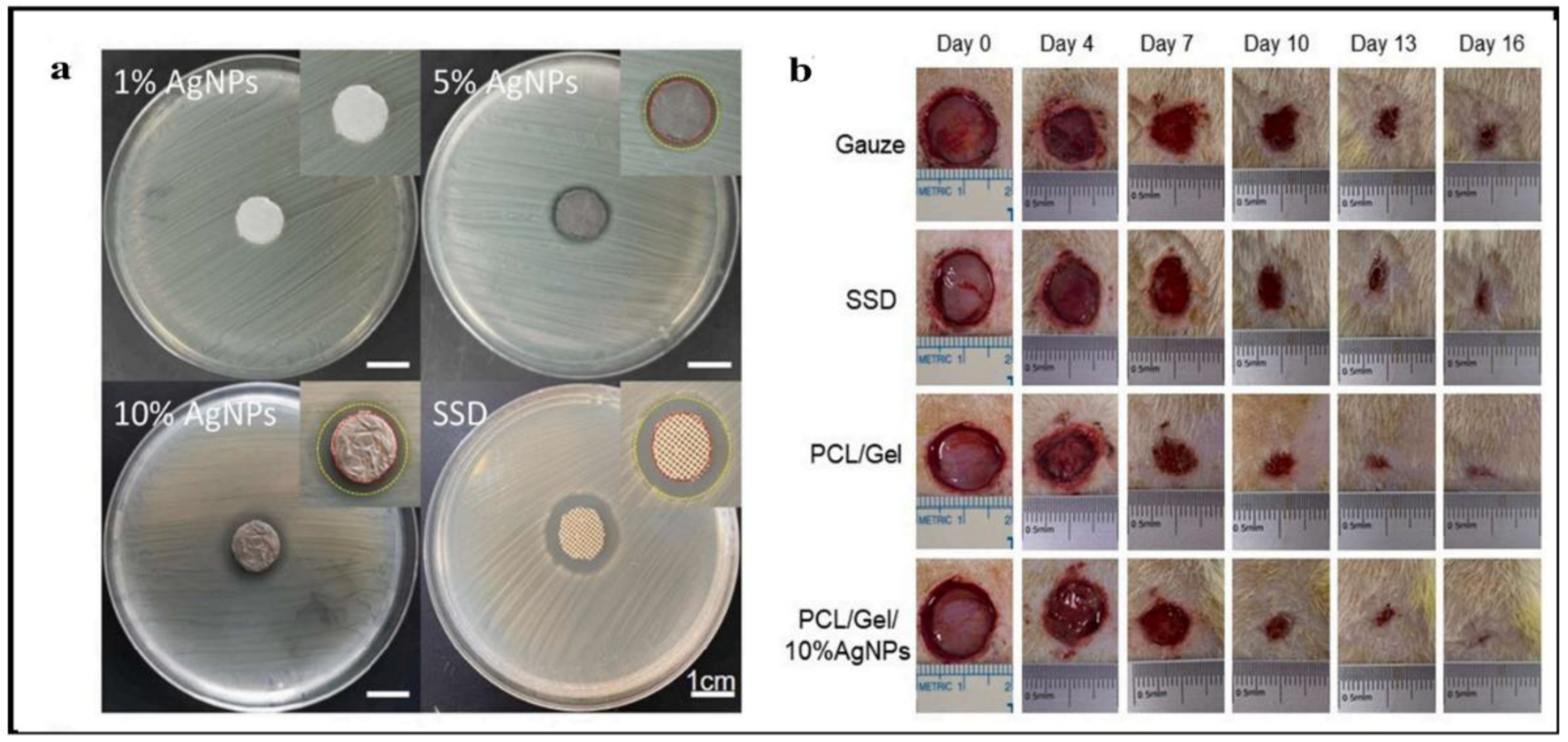 Polymers 14 03994 g010