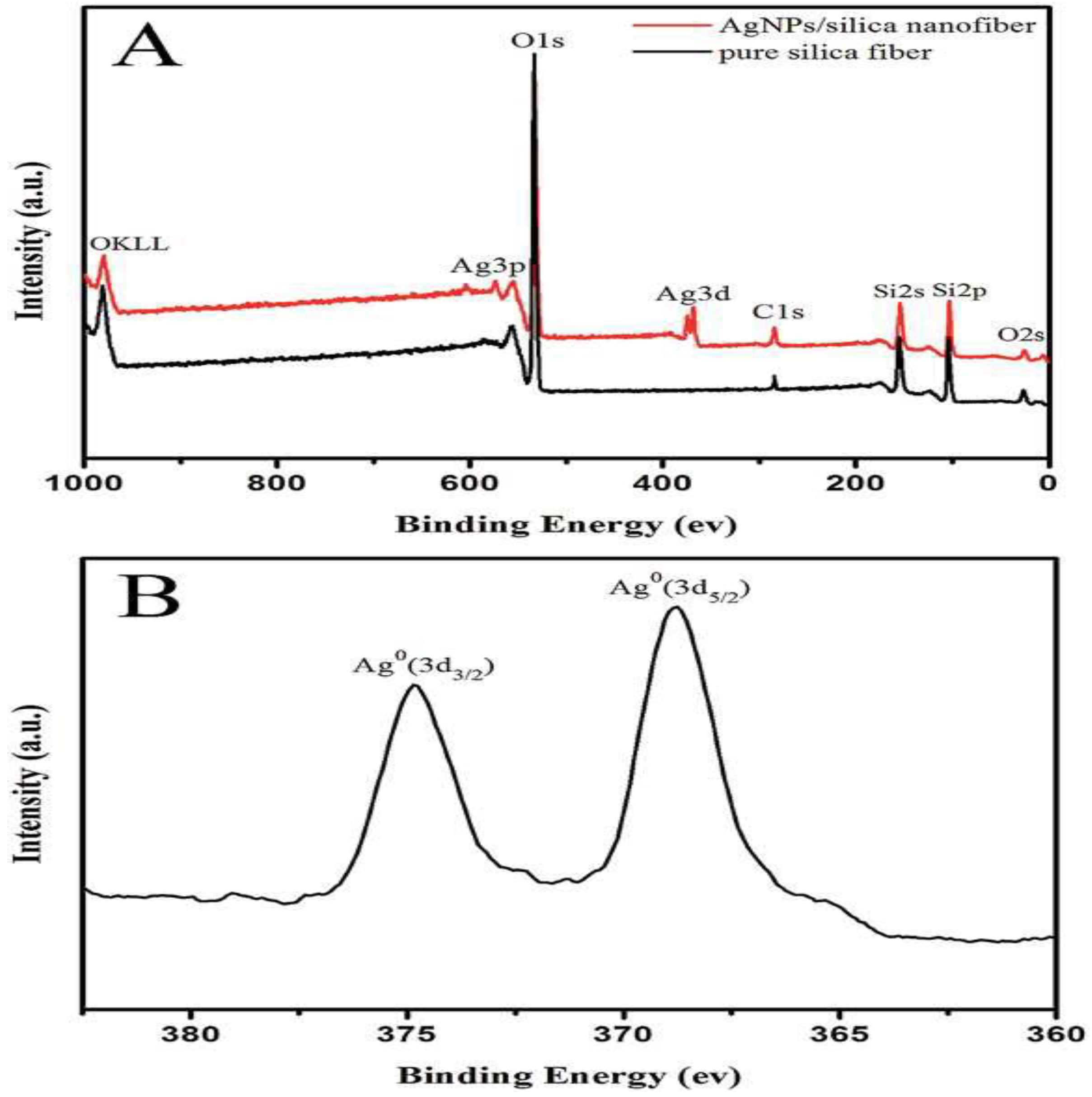 Polymers 14 03994 g012