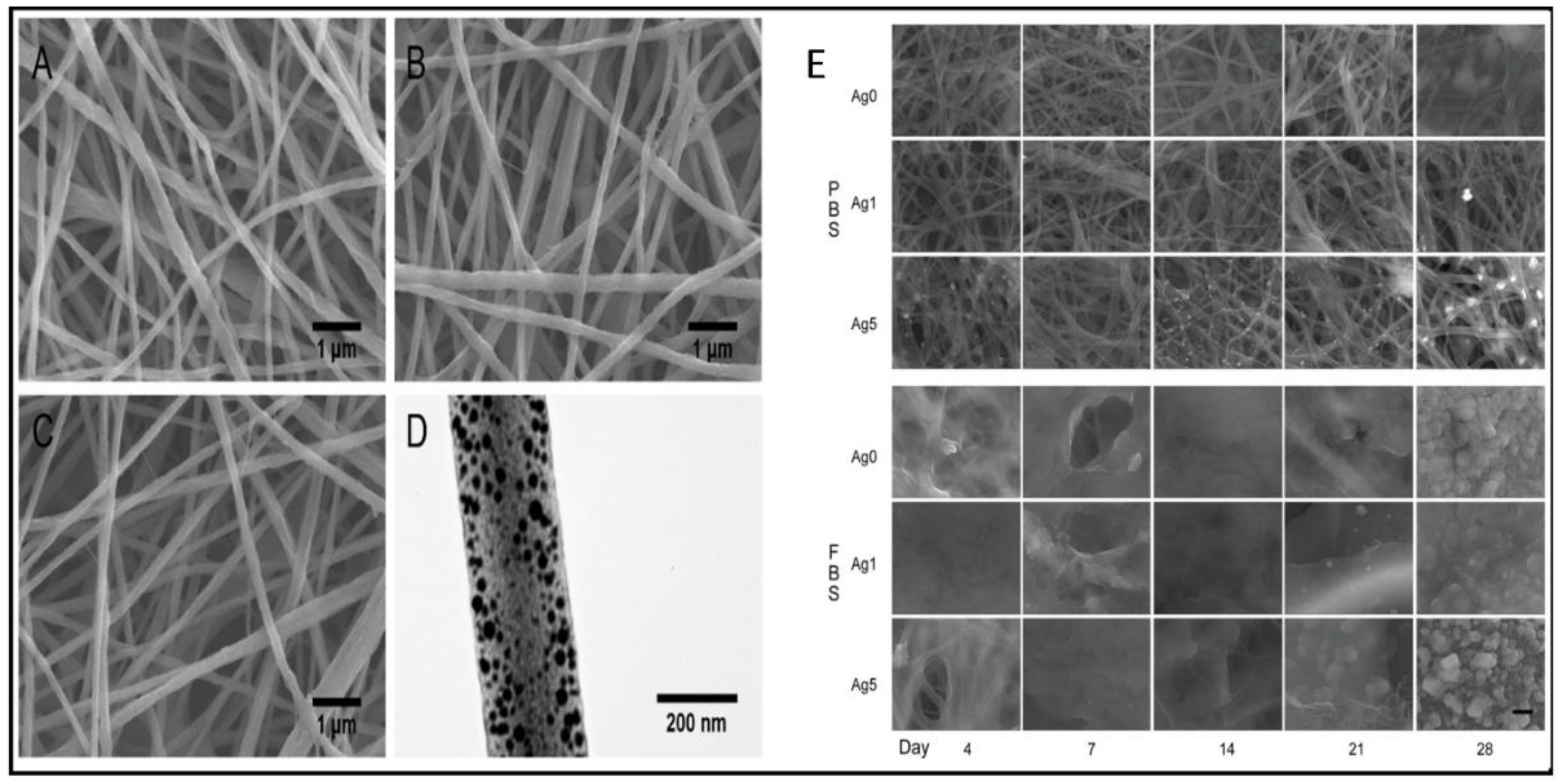 Polymers 14 03994 g014