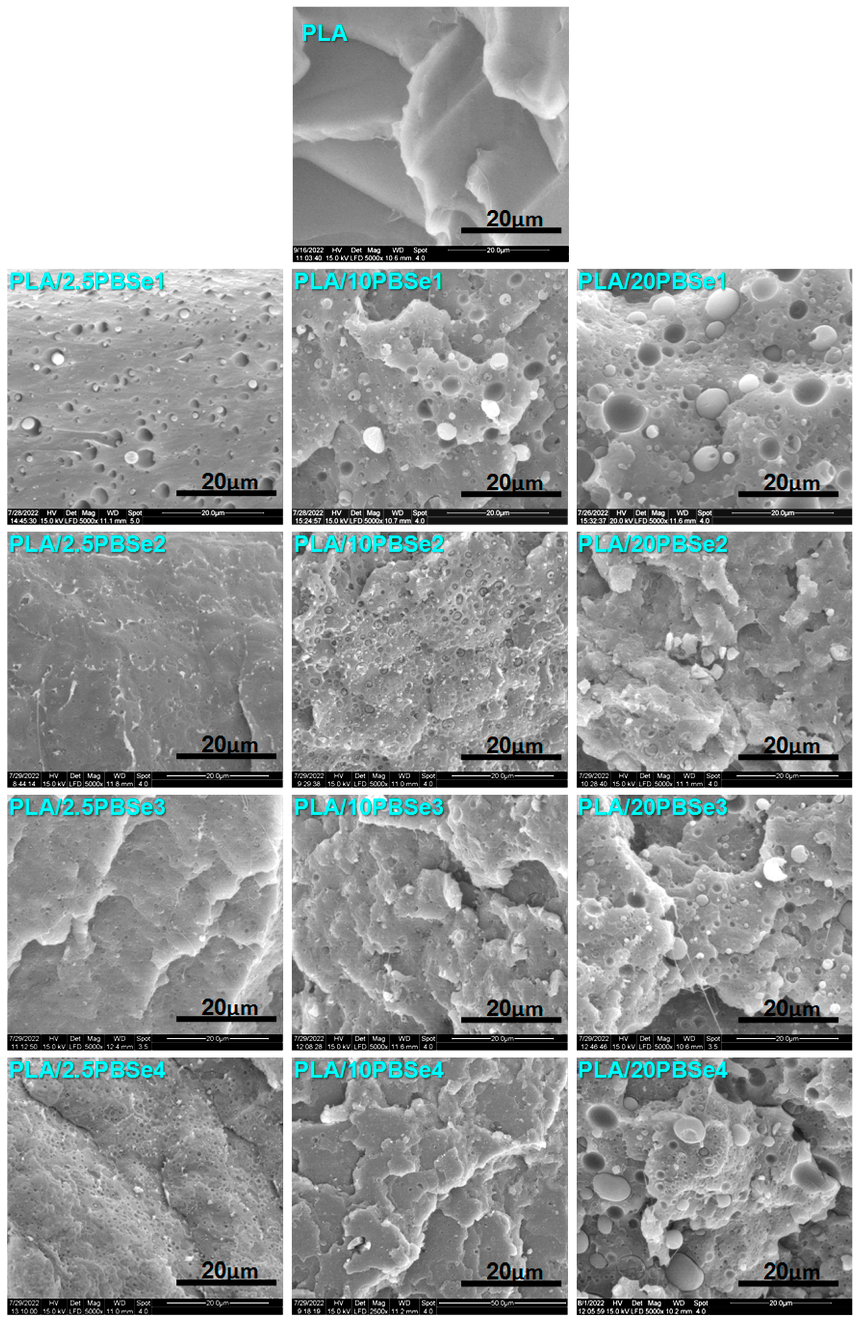 Polymers 14 03998 g004