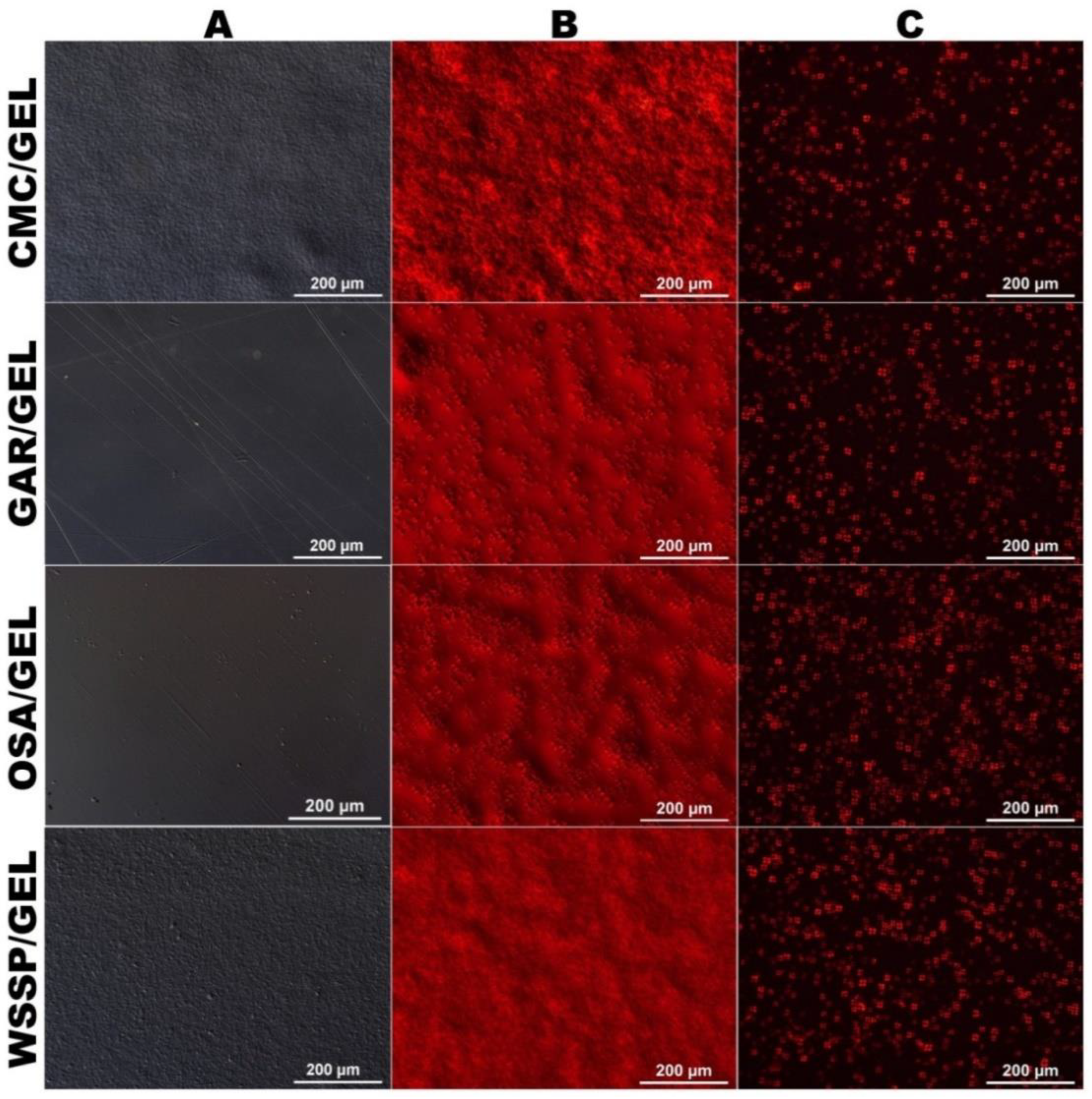 Polymers 14 04001 g001