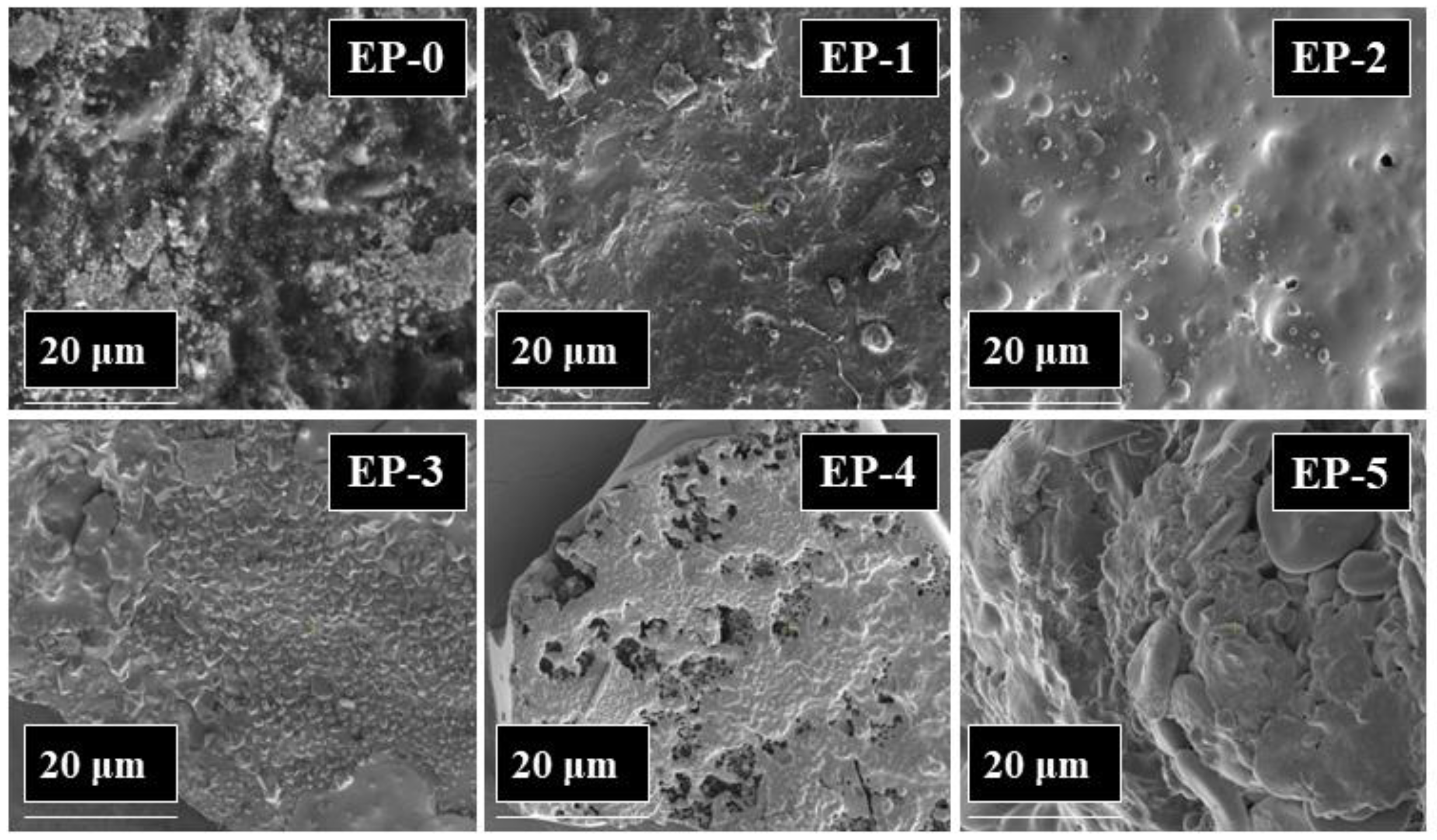 Polymers 14 04005 g009