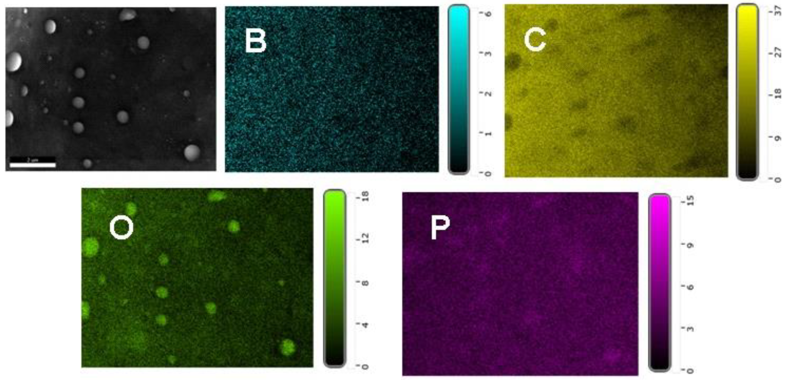 Polymers 14 04005 g010
