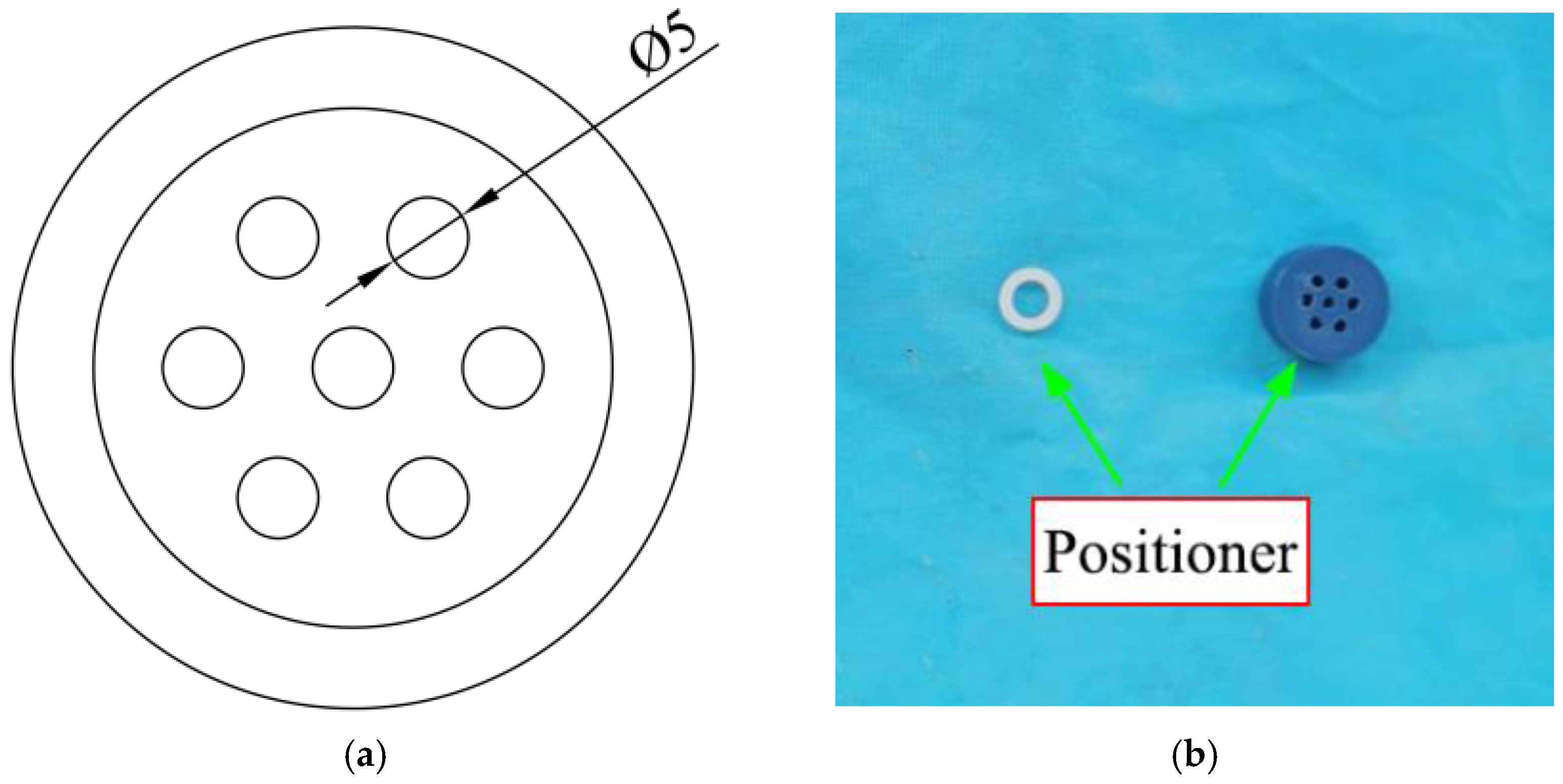 Polymers 14 04015 g006