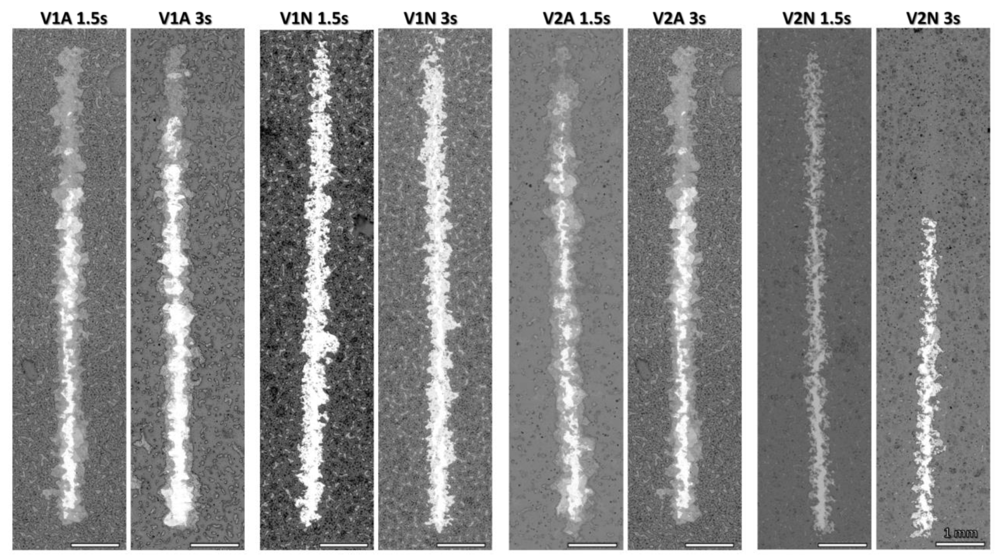 Polymers 14 04016 g009
