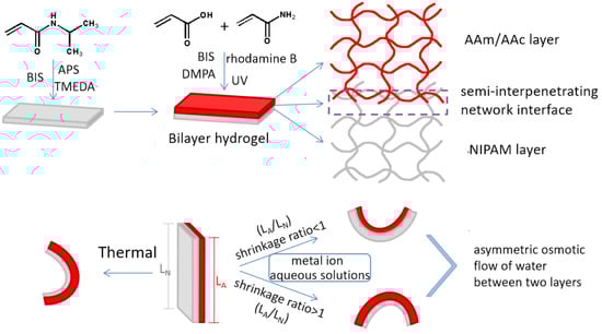 Polymers 14 04019 g001
