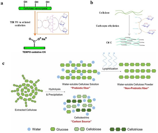Polymers 14 04025 g004