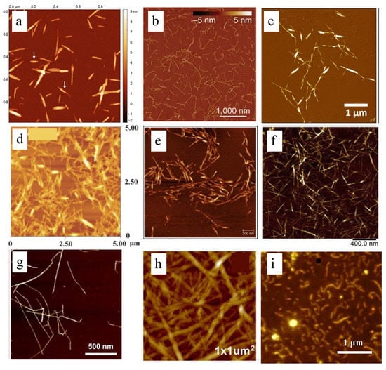 Polymers 14 04025 g005