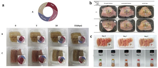 Polymers 14 04025 g008