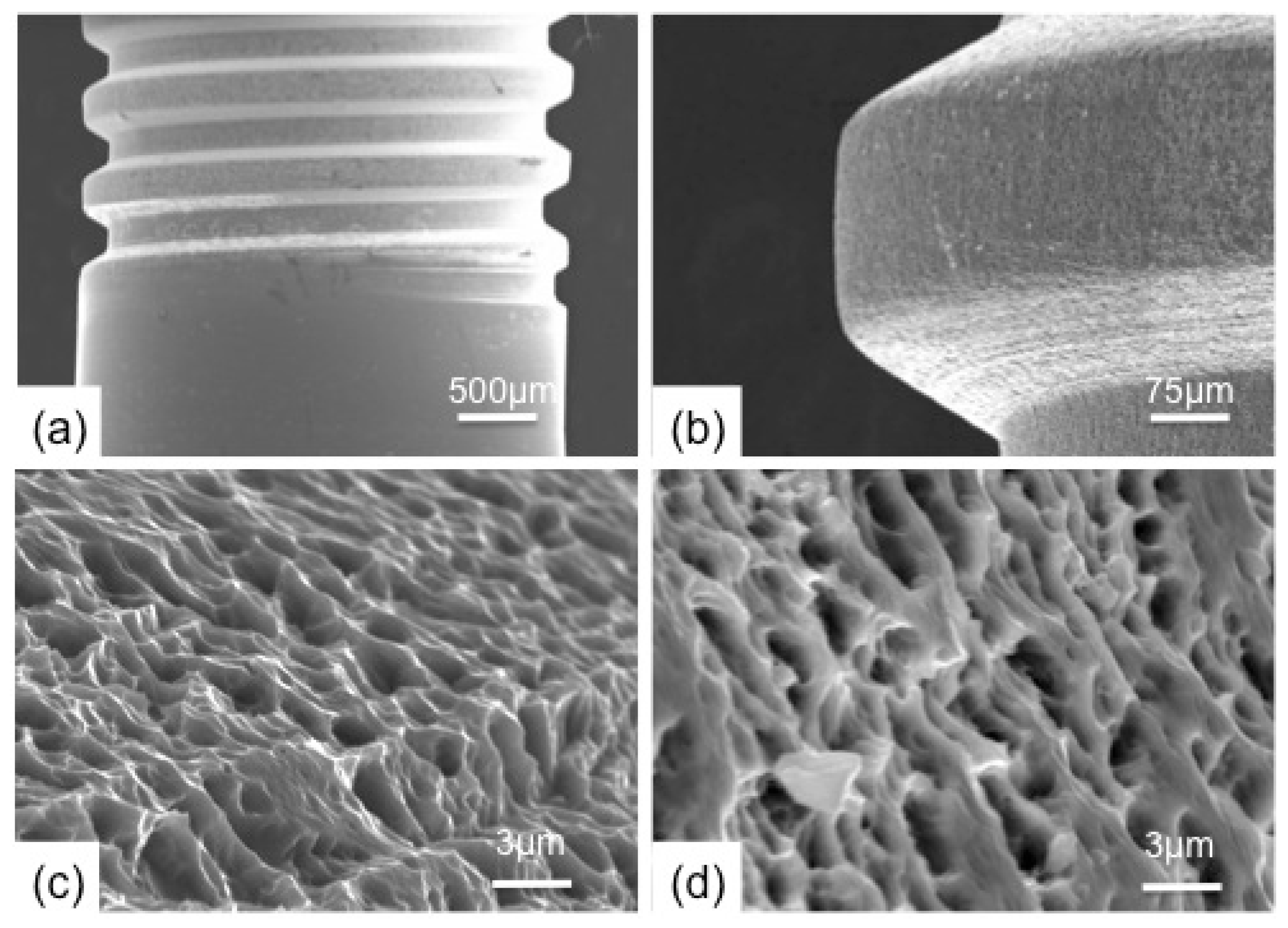 Polymers 14 04030 g002