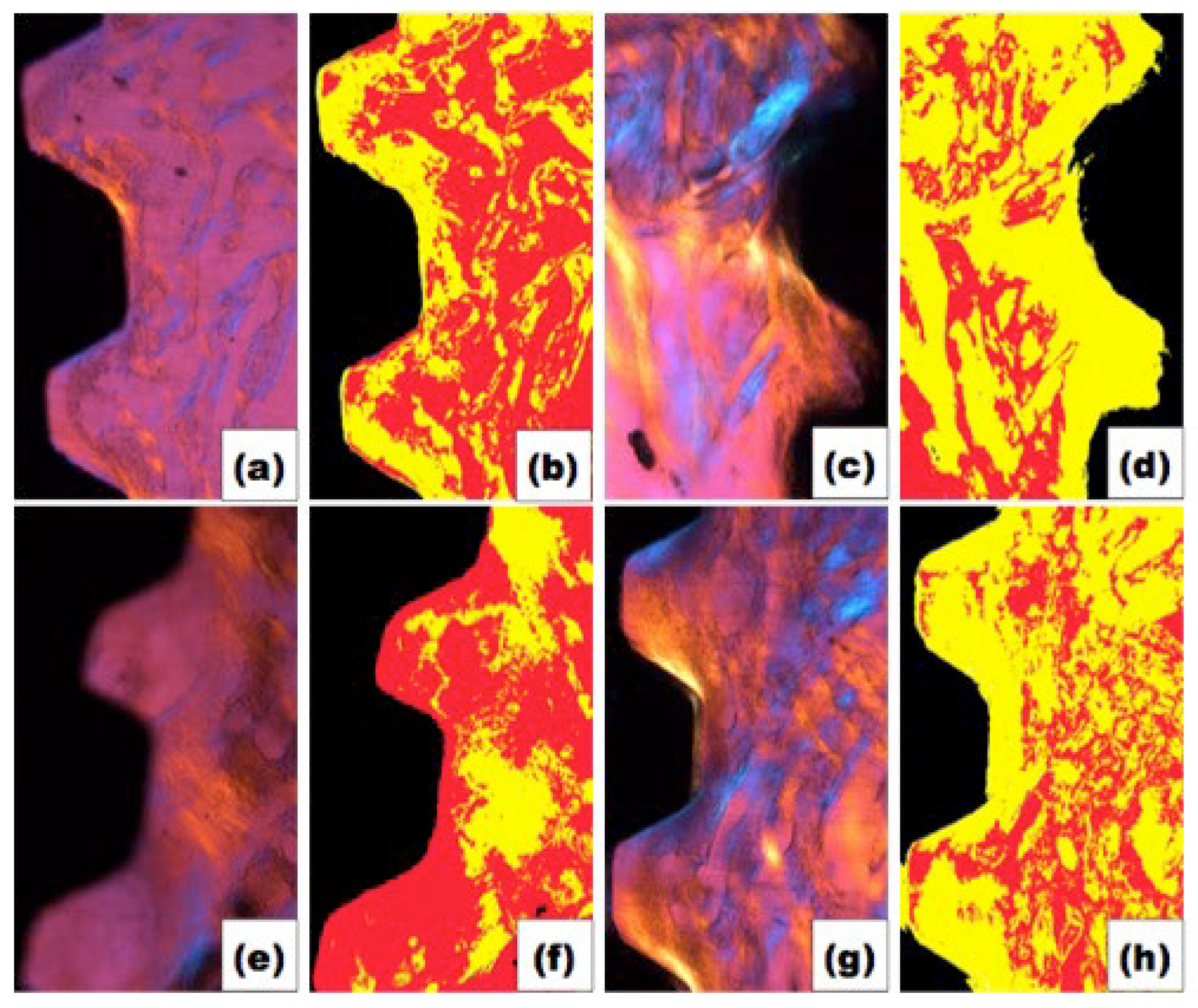 Polymers 14 04030 g004