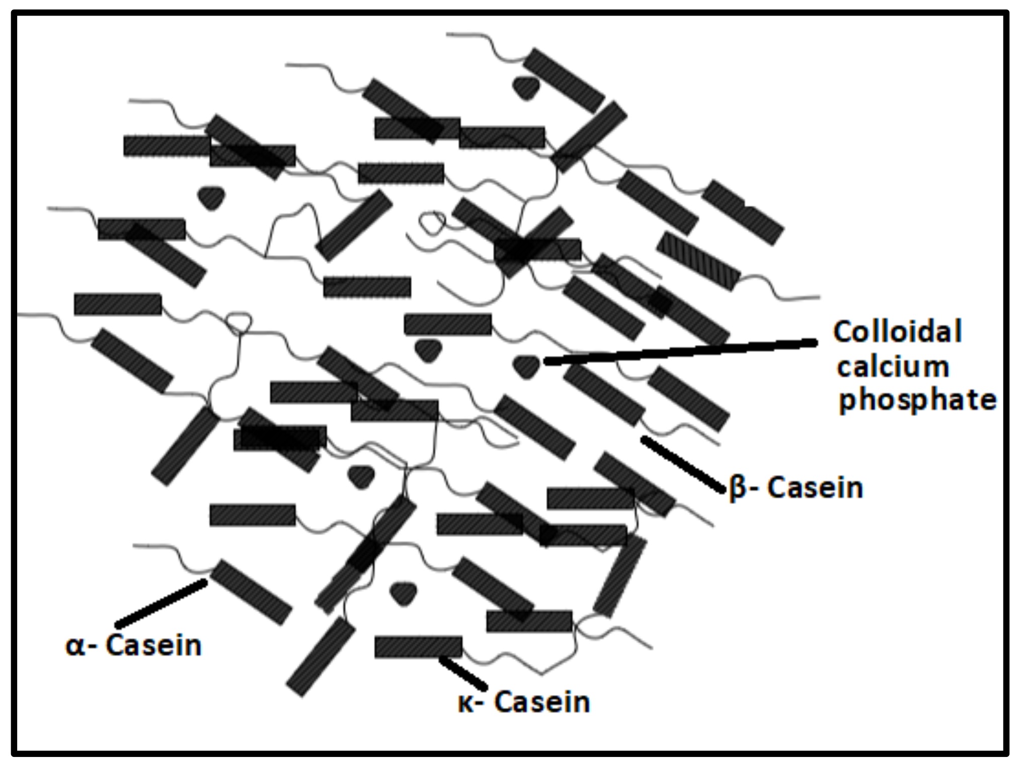 Polymers 14 04033 g002