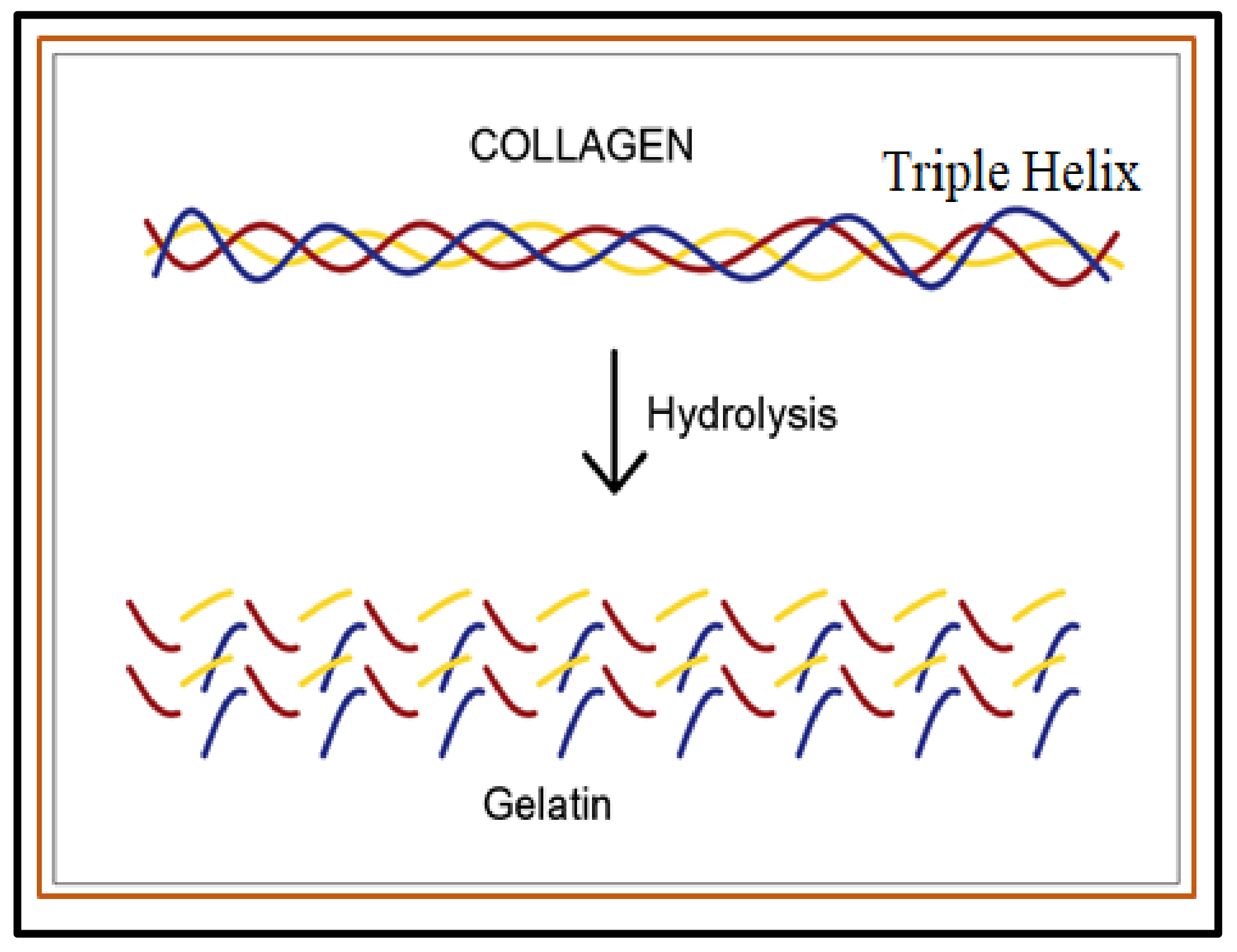 Polymers 14 04033 g003