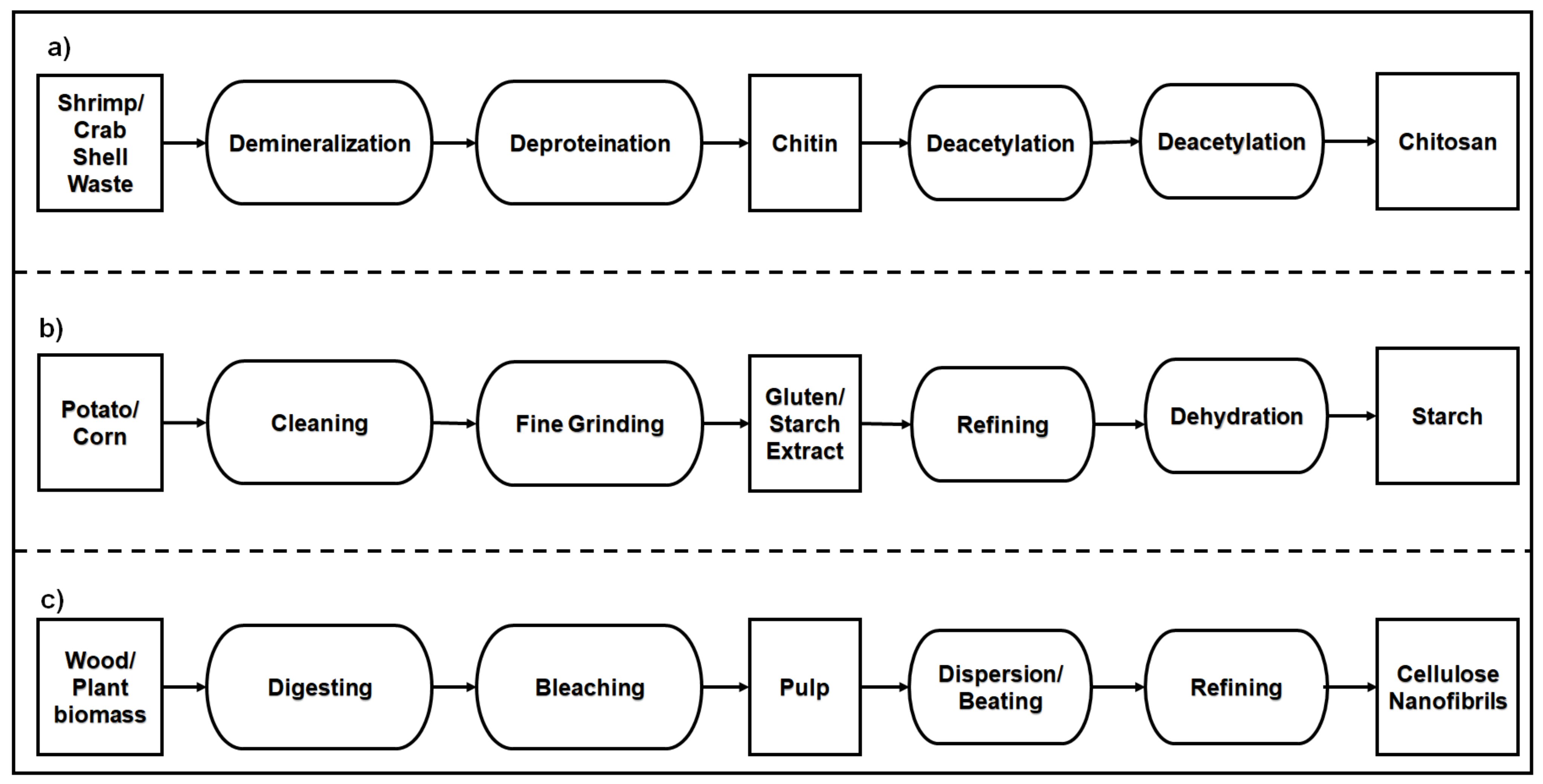 Polymers 14 04033 g004