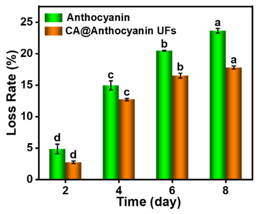 Polymers 14 04036 g006