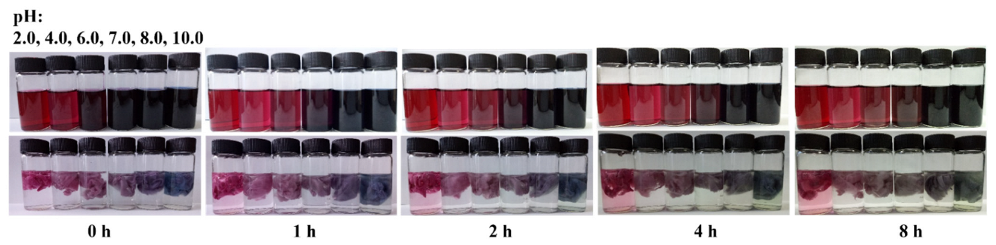 Polymers 14 04036 g007