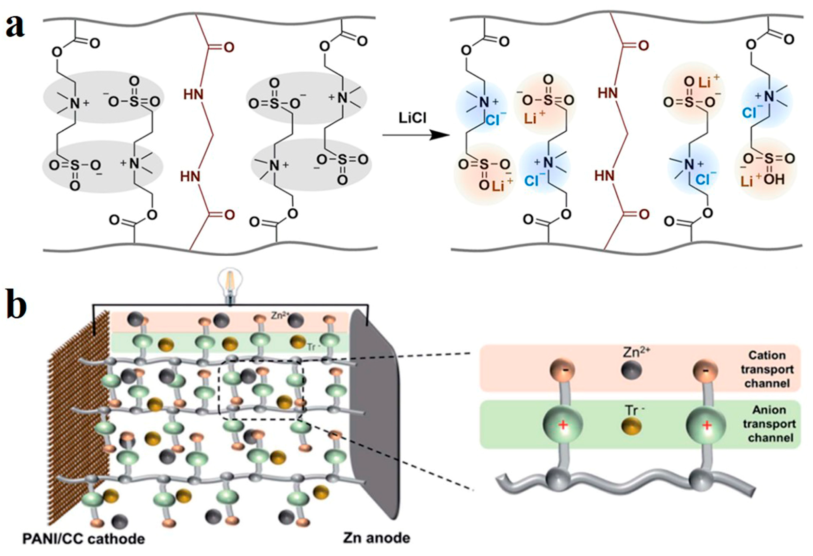 Polymers 14 04037 g004