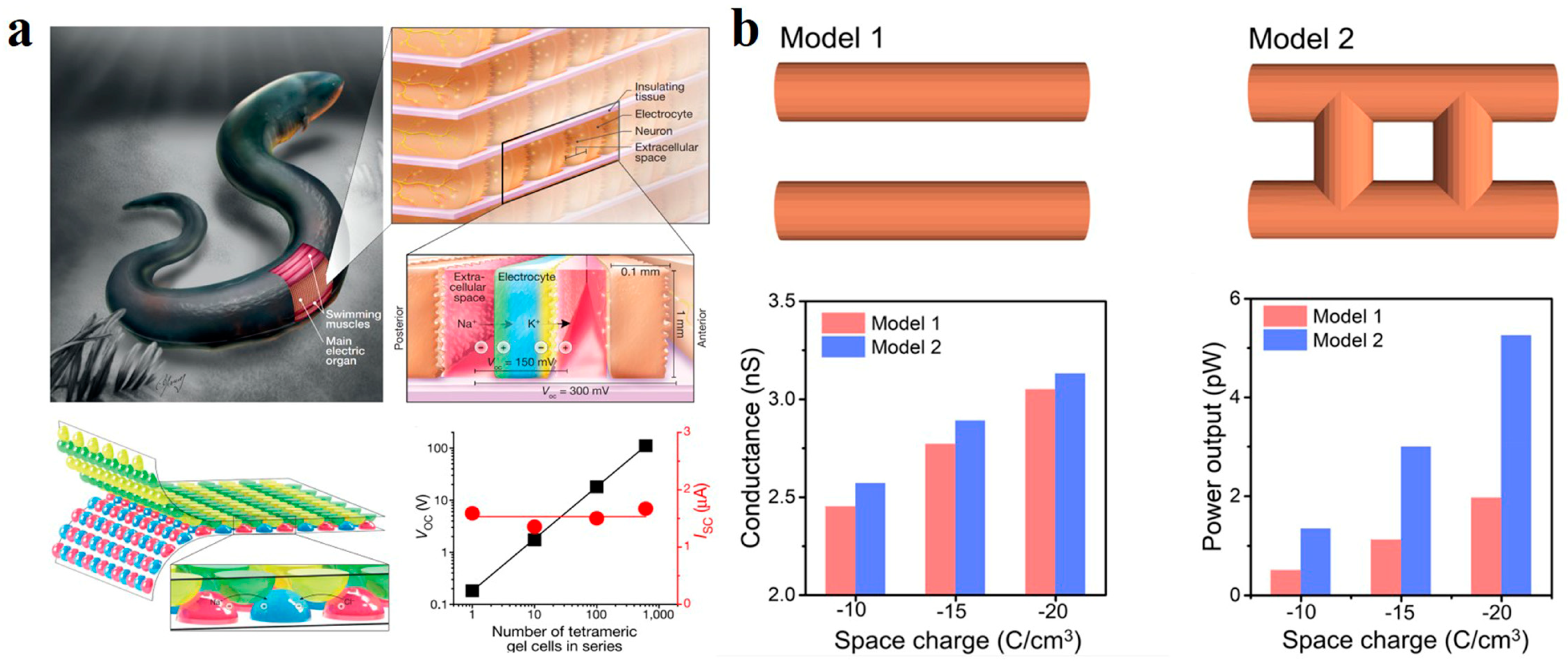 Polymers 14 04037 g008