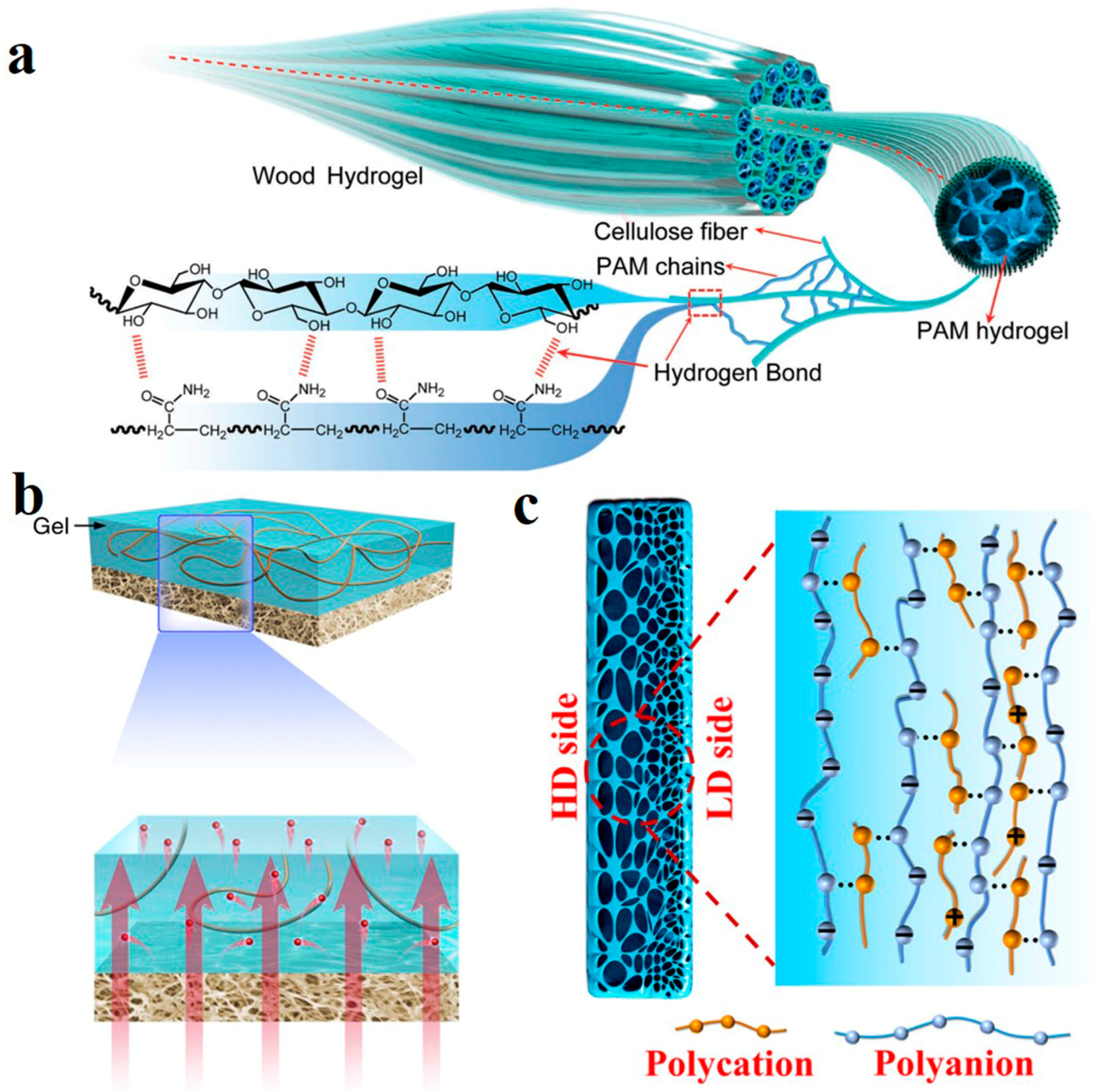 Polymers 14 04037 g009